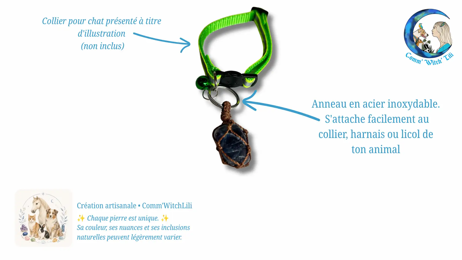Pendentif en Fluorite pour animaux