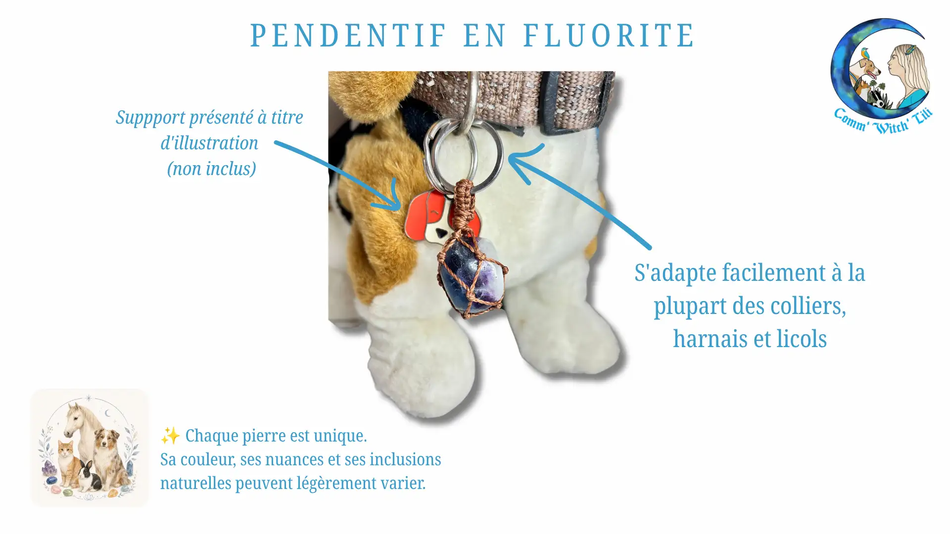 Pendentif en Fluorite pour animaux