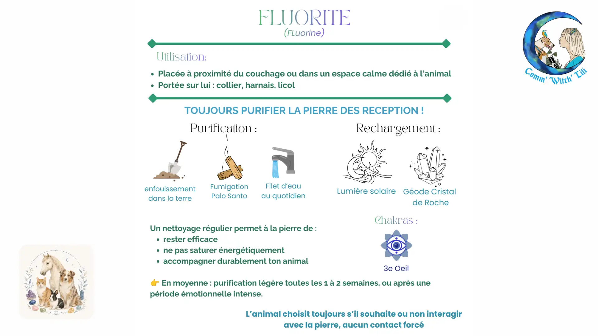 Pendentif en Fluorite pour animaux
