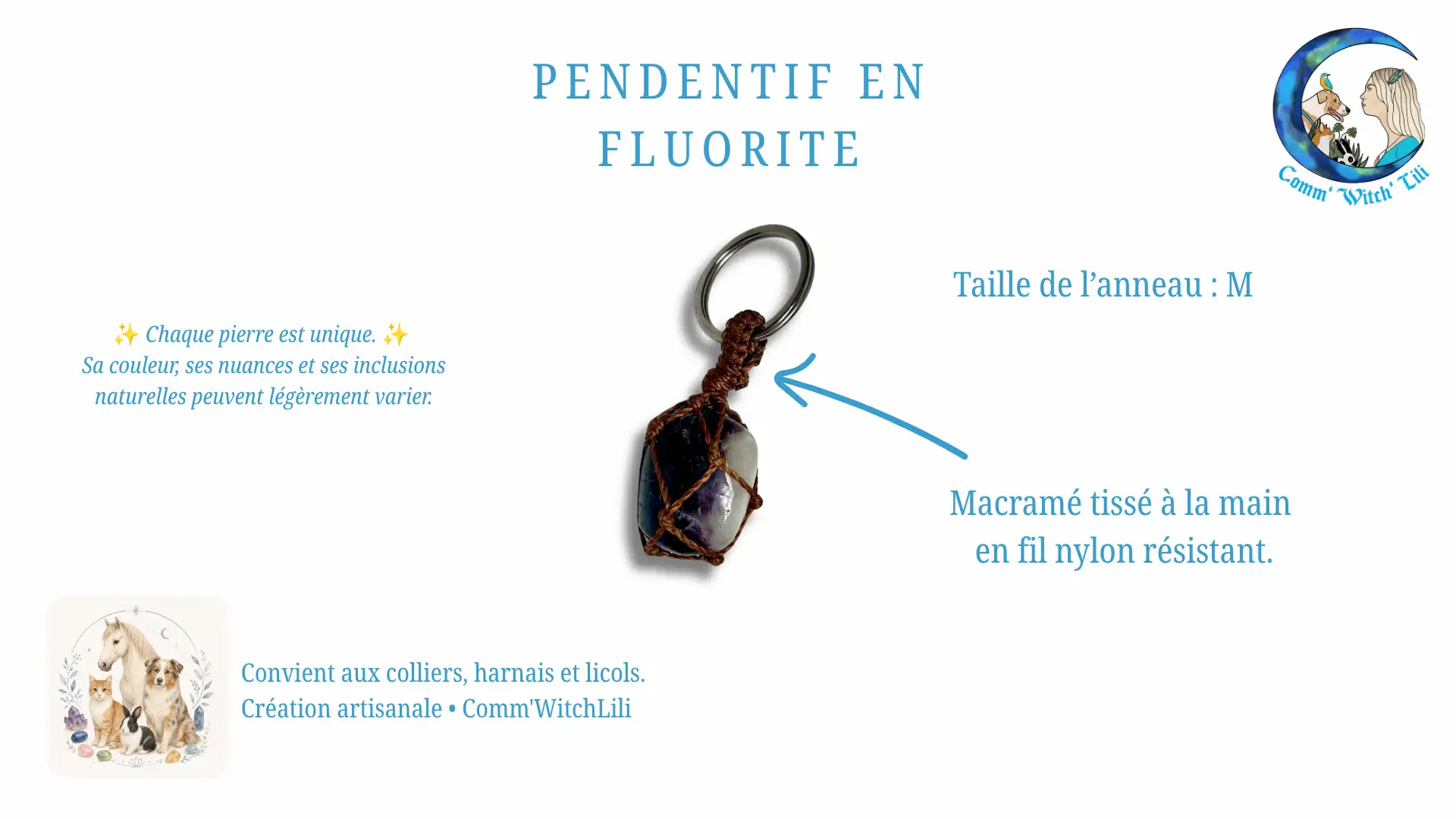 Pendentif en Fluorite pour animaux