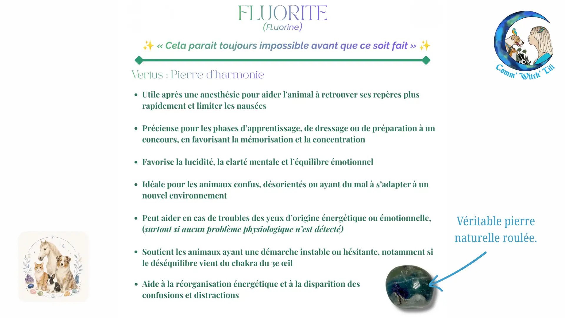 Pendentif en Fluorite pour animaux