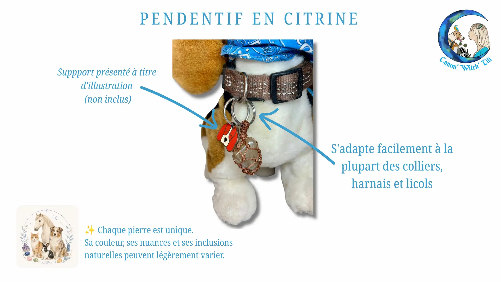 Pendentif en Citrine pour animaux