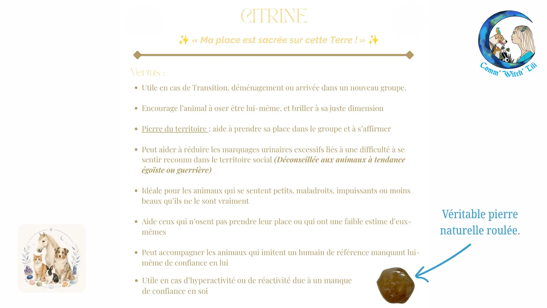 Pendentif en Citrine pour animaux
