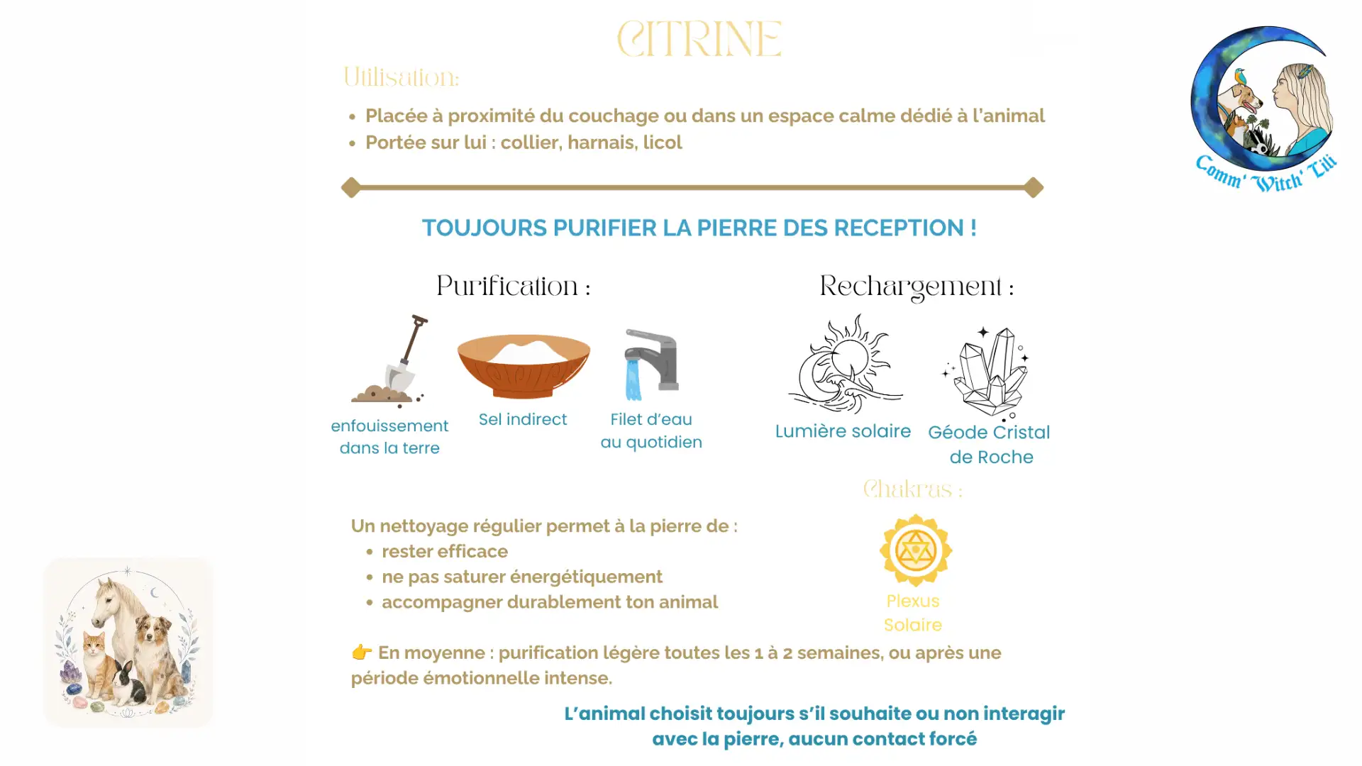Pendentif en Citrine pour animaux