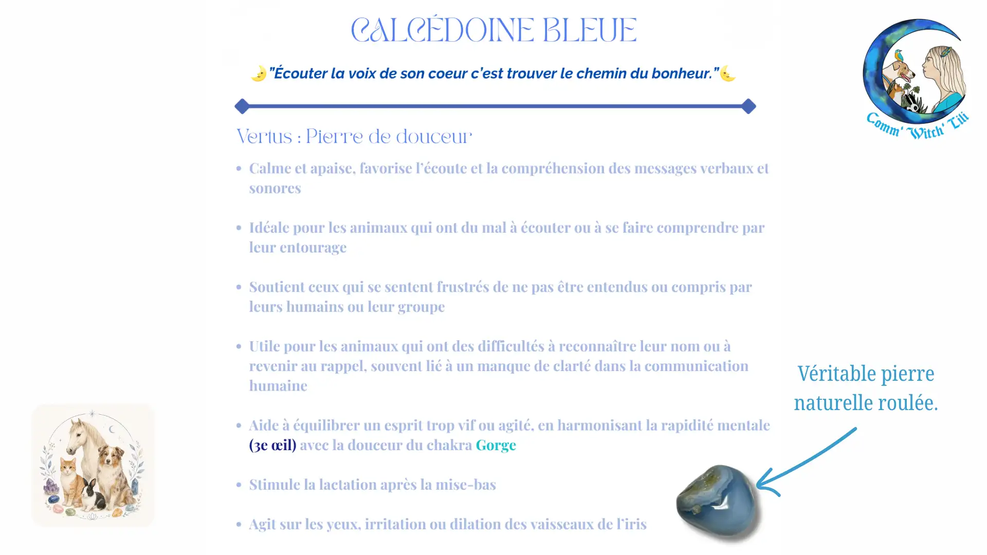 Pendentif en Calcédoine pour animaux