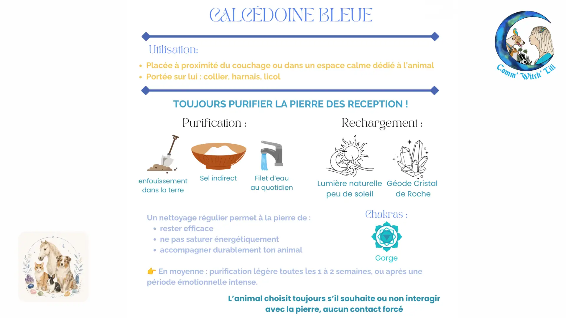 Pendentif en Calcédoine pour animaux