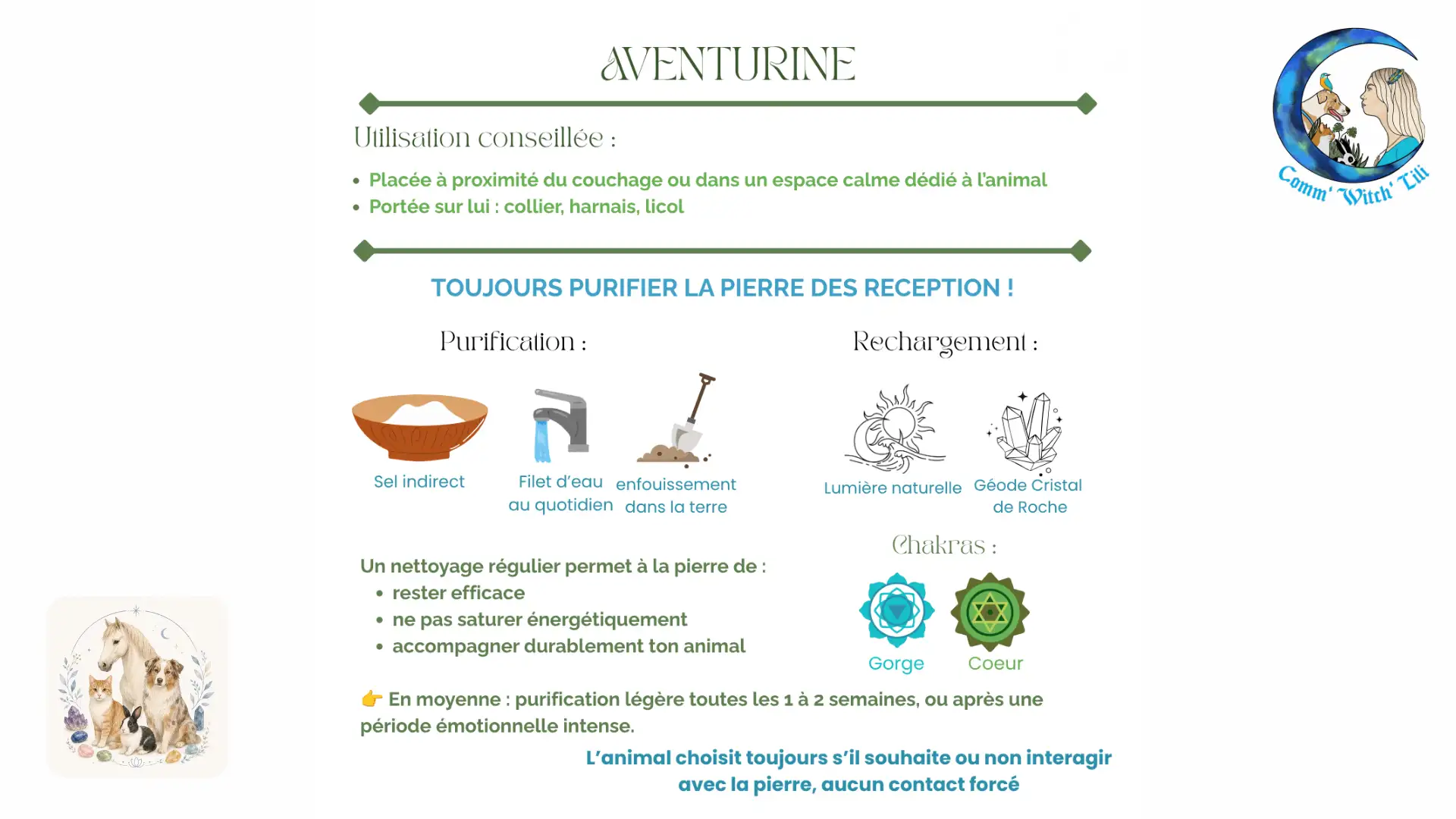 Pendentif en Aventurine pour animaux