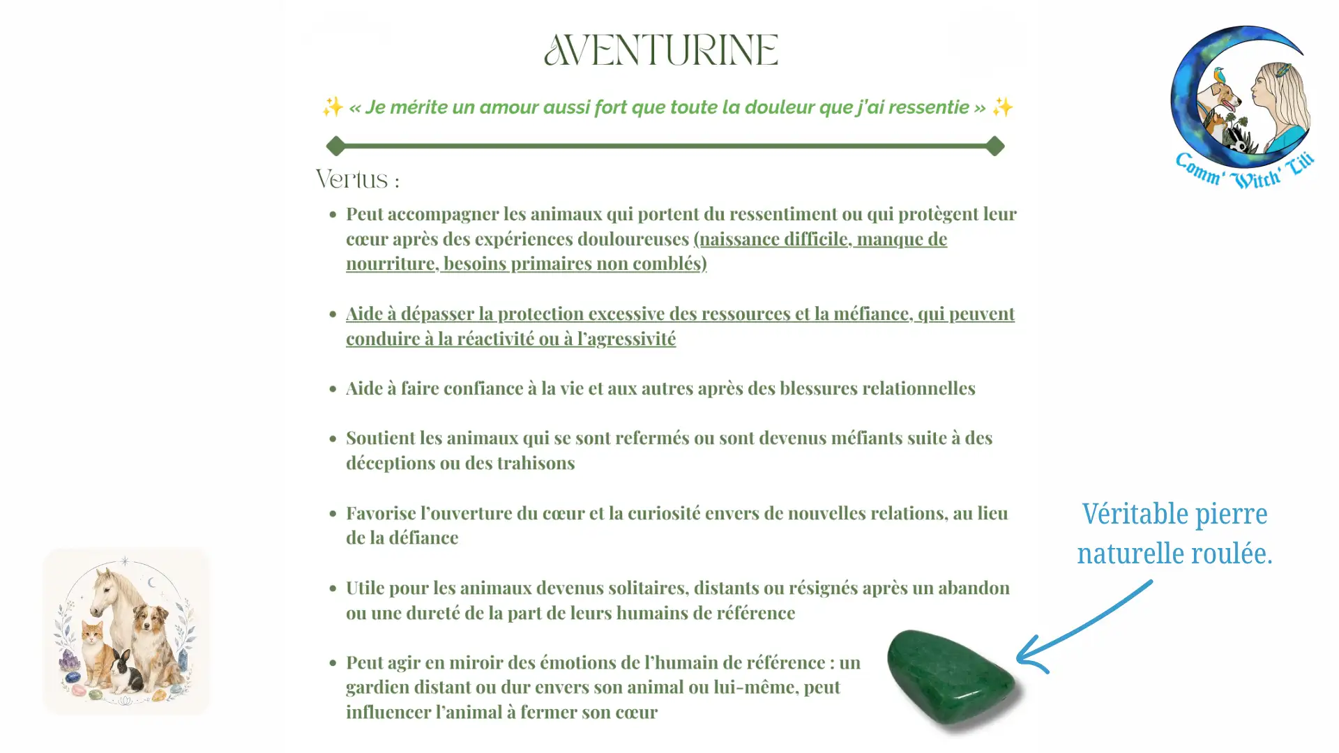 Pendentif en Aventurine pour animaux