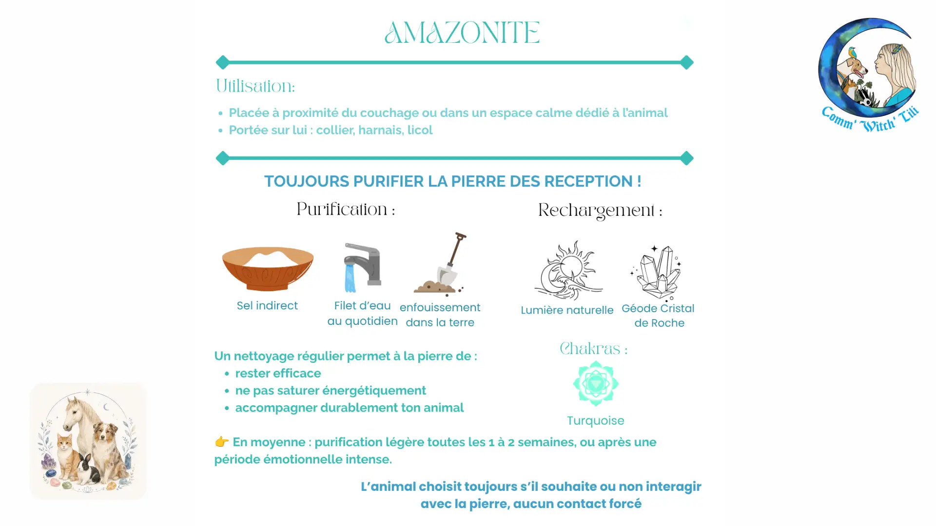 Pendentif en Amazonite pour animaux