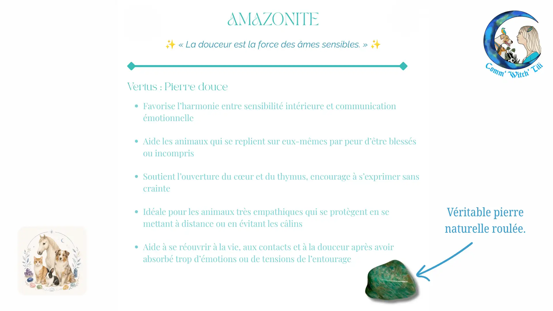 Pendentif en Amazonite pour animaux