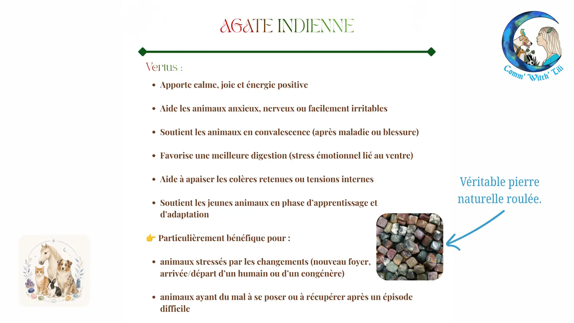 Pendentif en Agate Indienne pour animaux