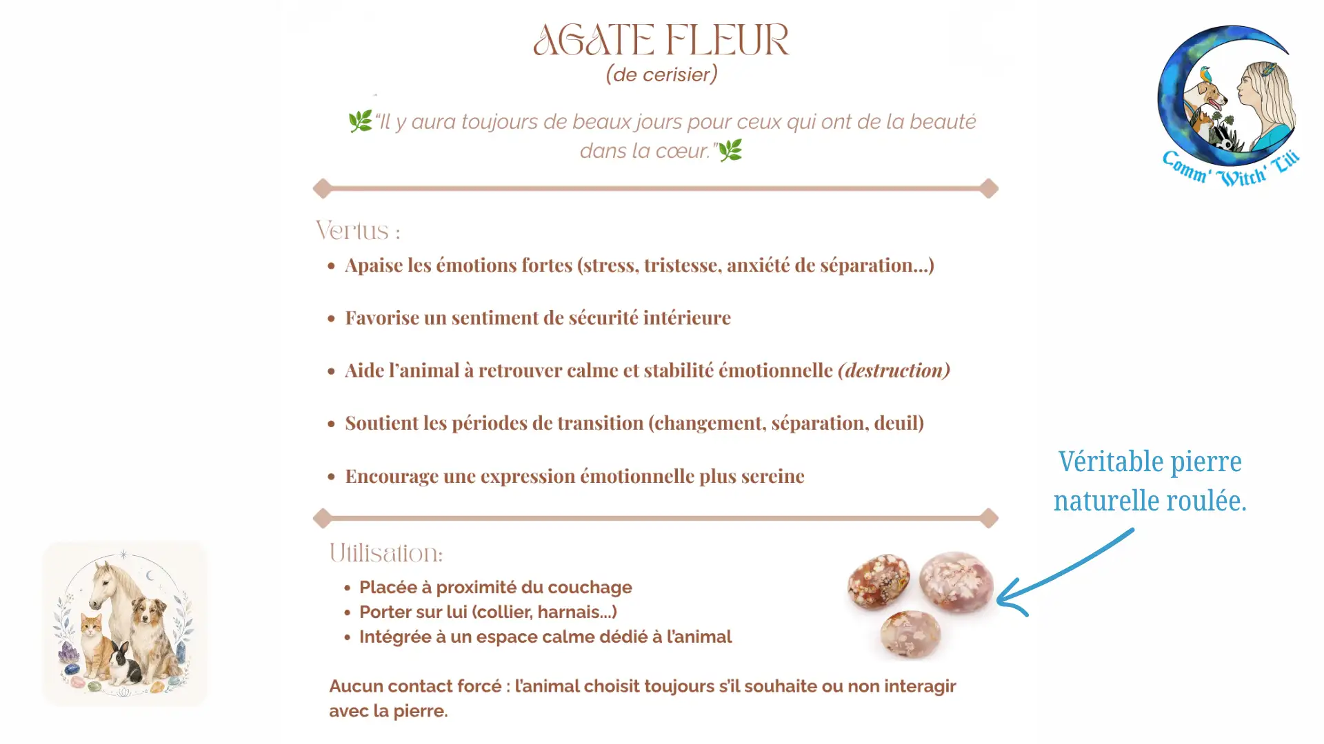 Pendentif en Agate Fleur pour animaux