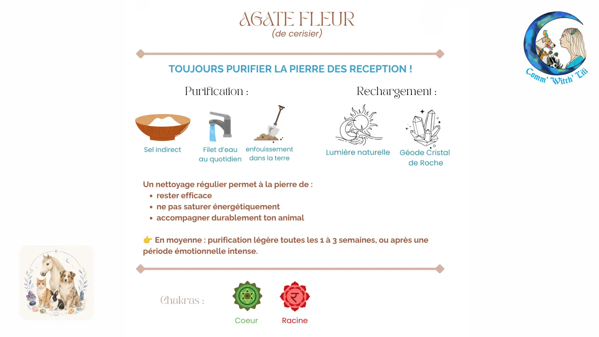 Pendentif en Agate Fleur pour animaux
