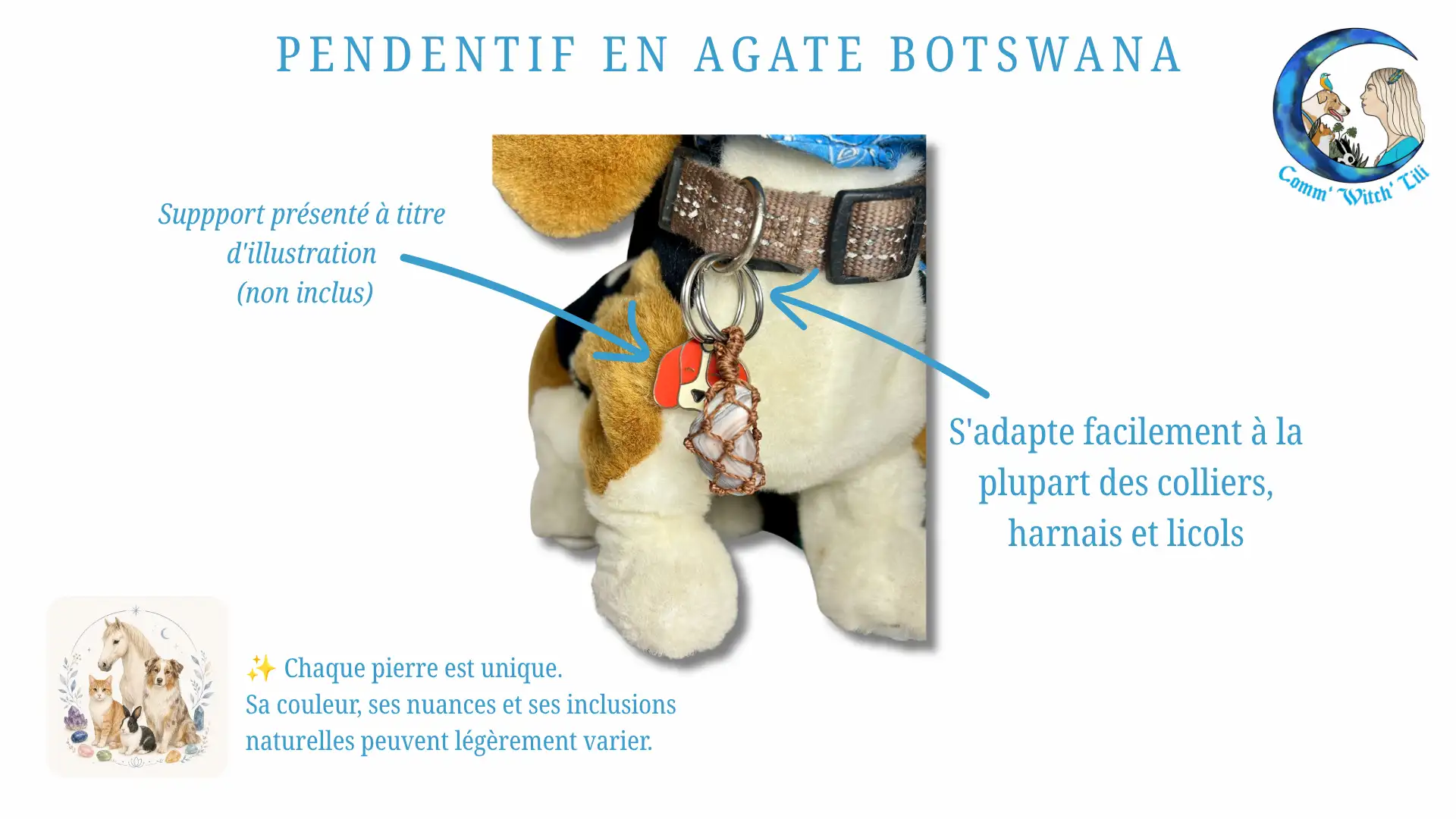 Pendentif en Agate Botswana pour animaux