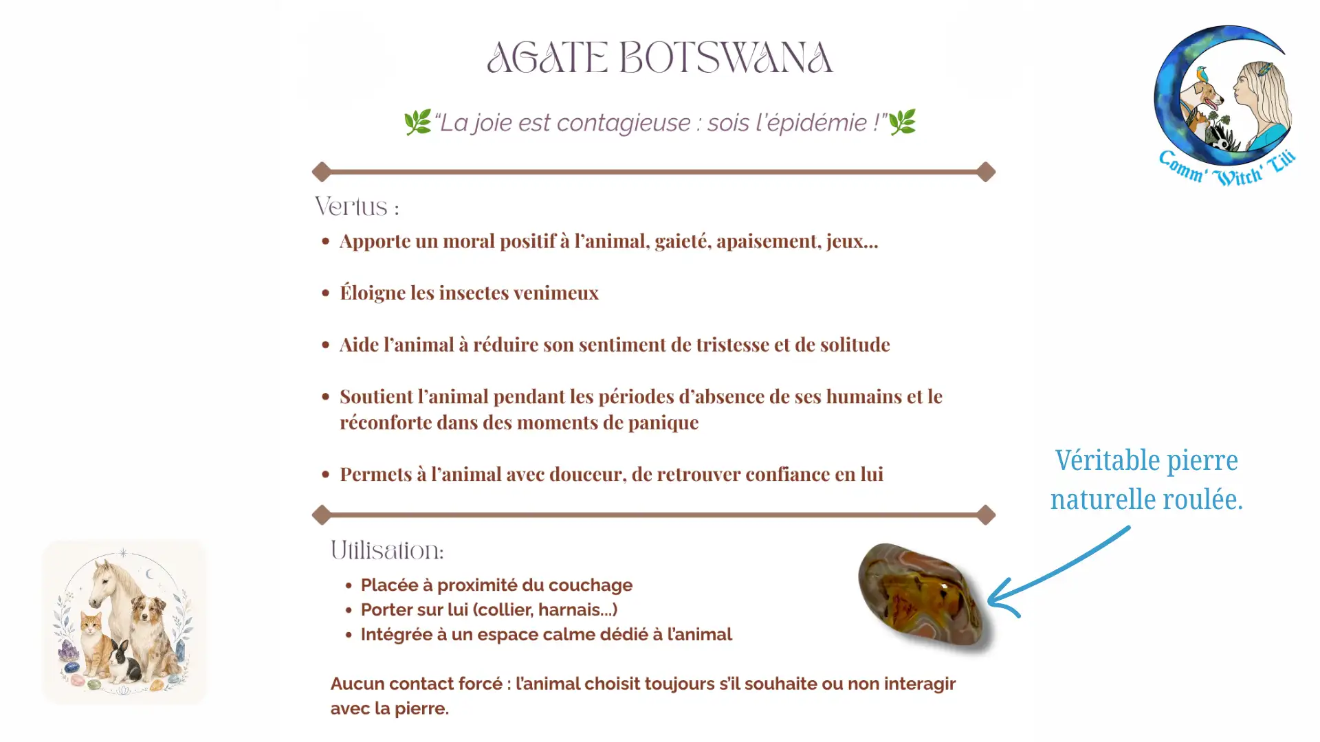 Pendentif en Agate Botswana pour animaux