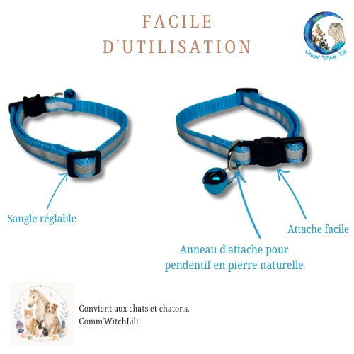 Collier pour chat règlable