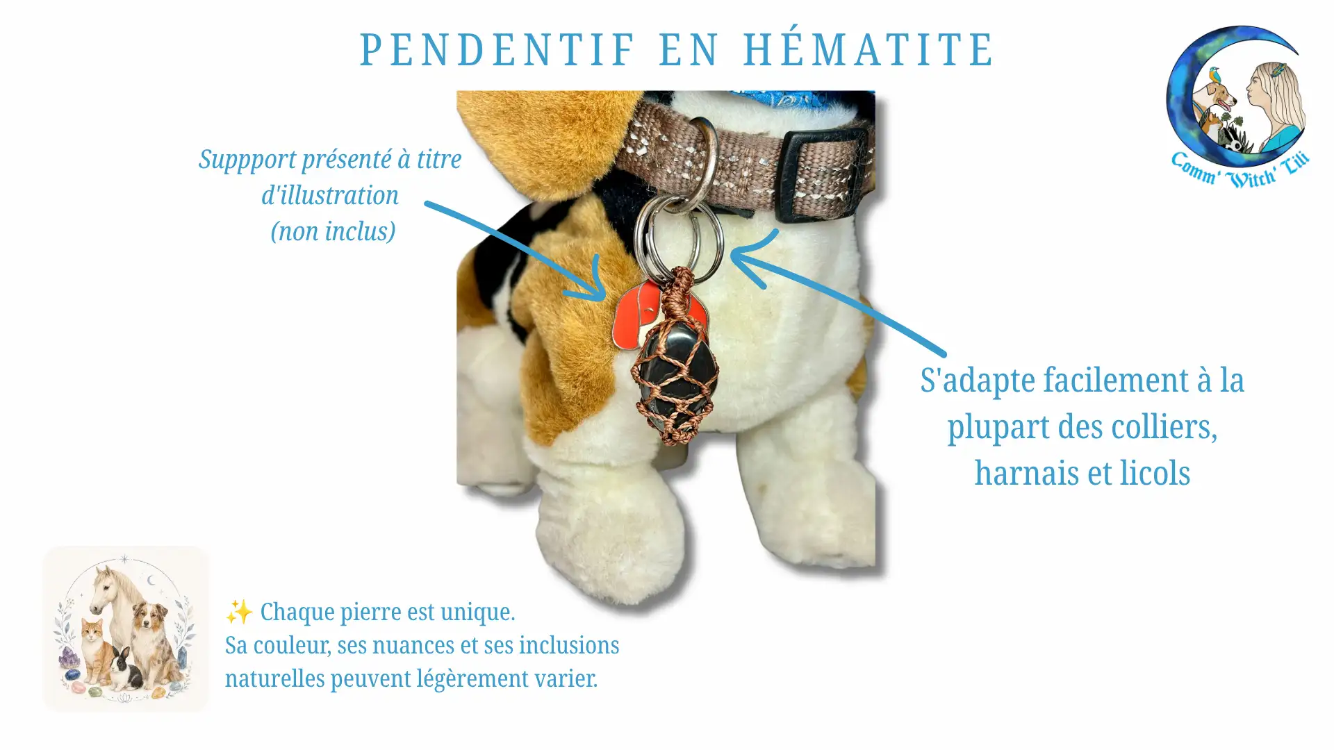 Pendentif en Hématite pour animaux