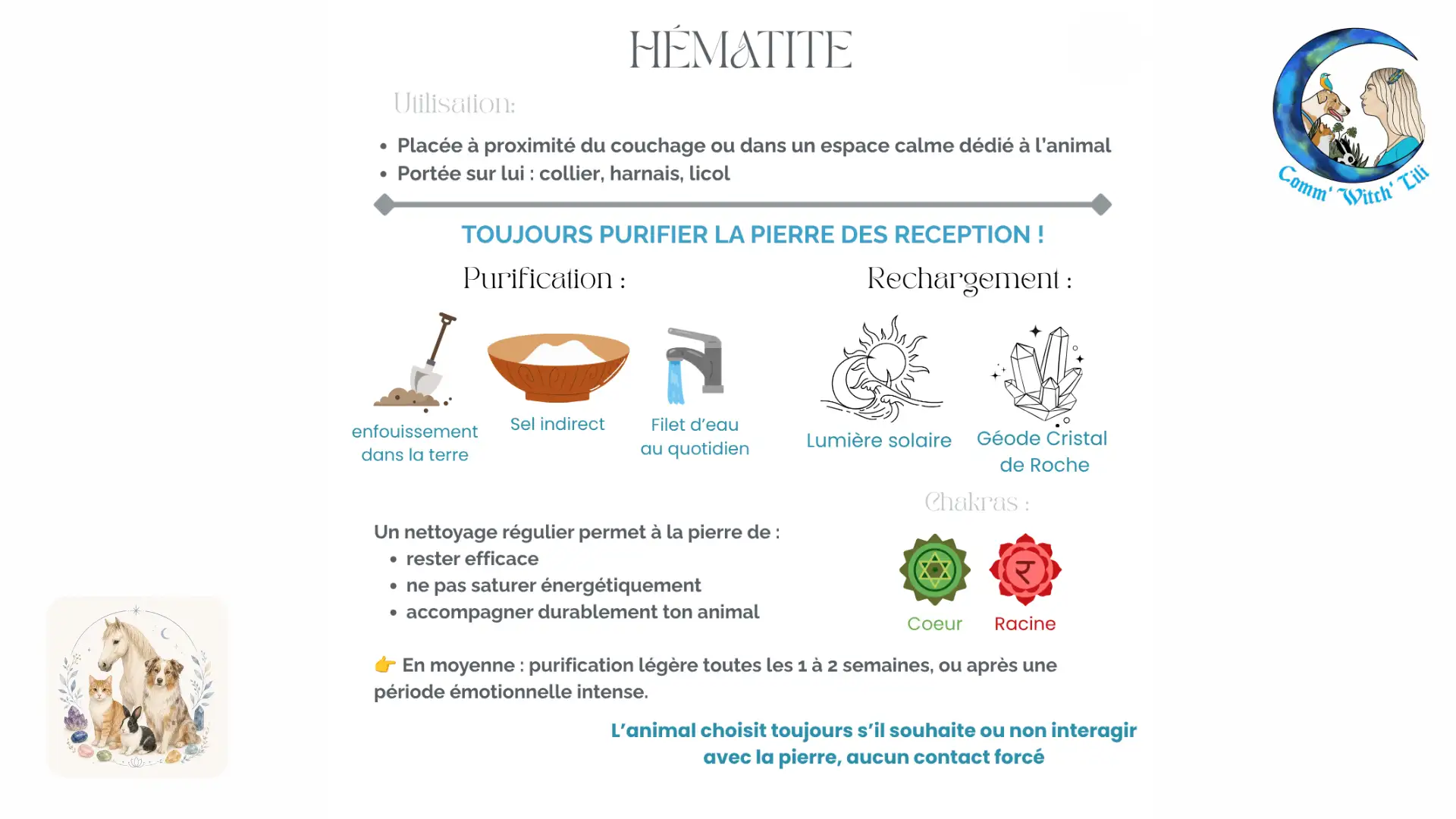 Pendentif en Hématite pour animaux