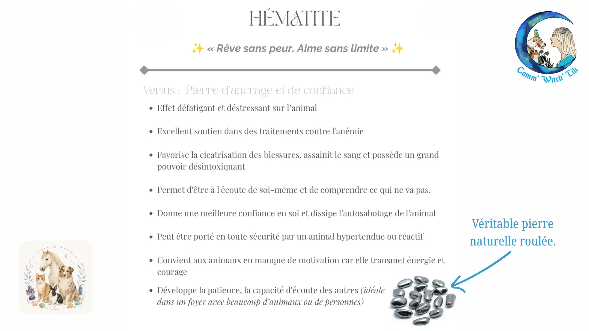 Pendentif en Hématite pour animaux