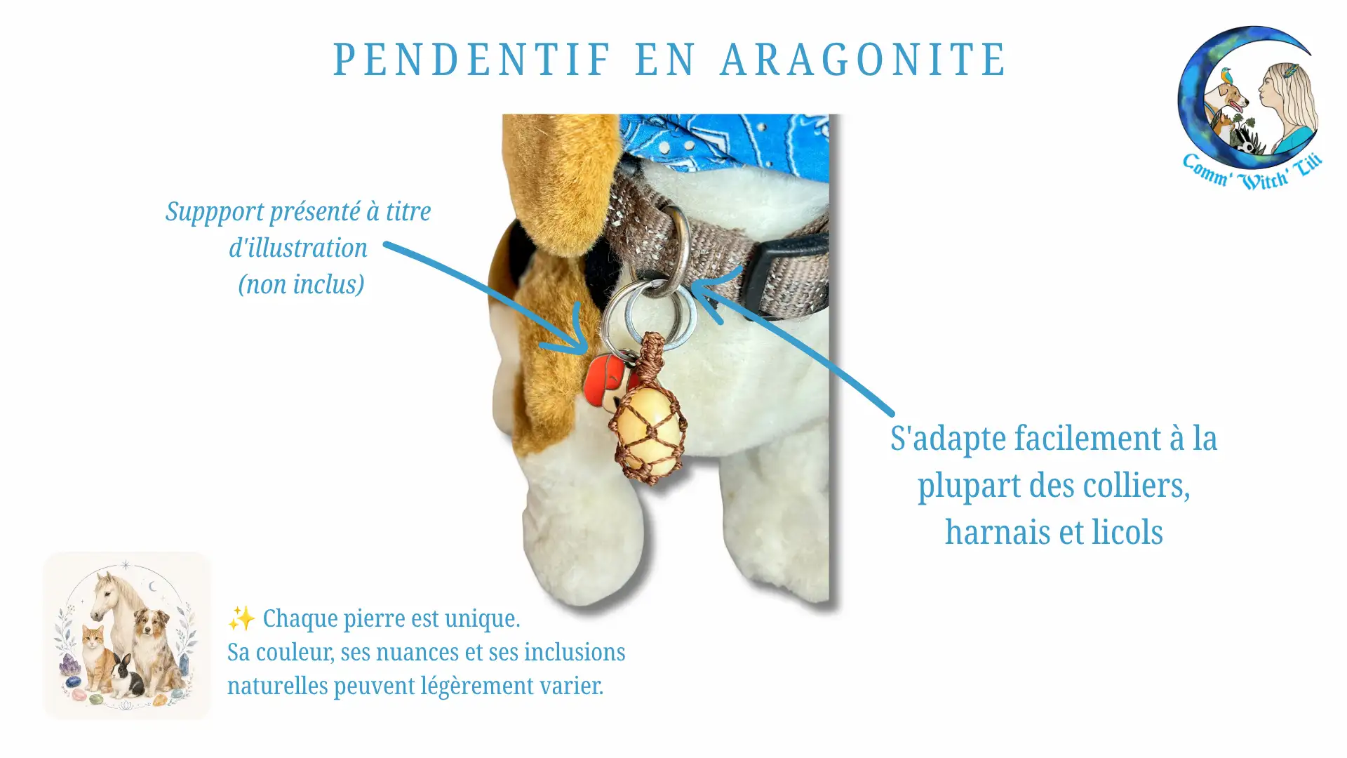 Pendentif en Aragonite pour animaux
