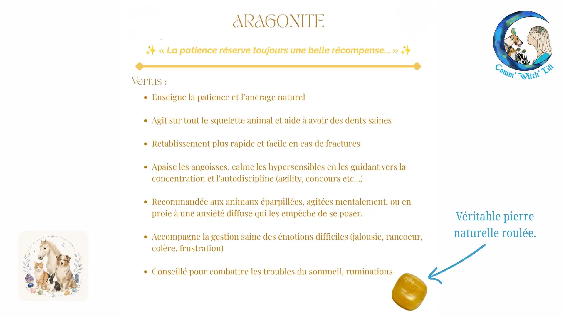 Pendentif en Aragonite pour animaux
