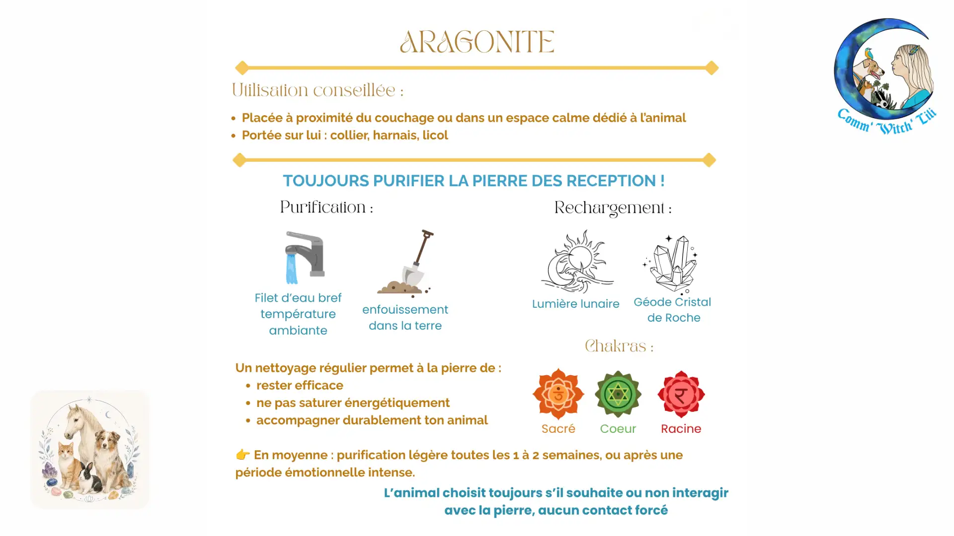 Pendentif en Aragonite pour animaux