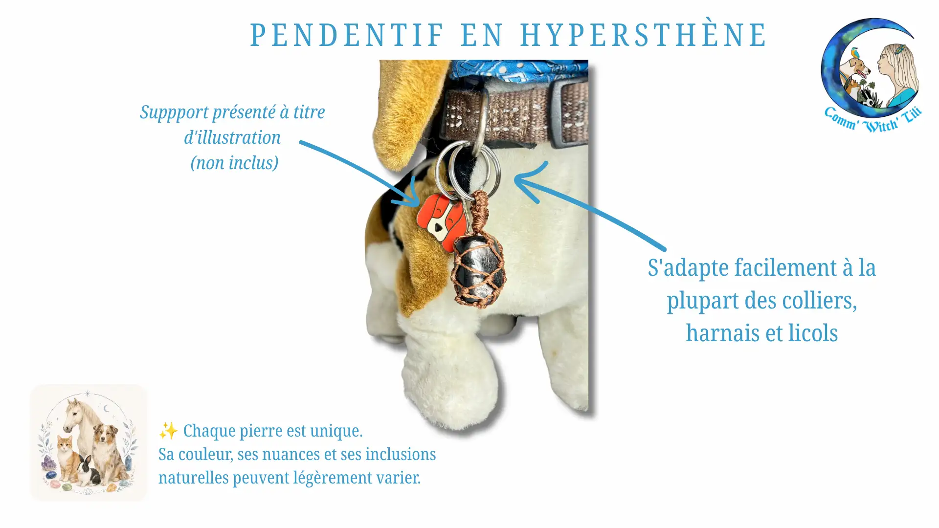 Pendentif en Hypersthène pour animaux