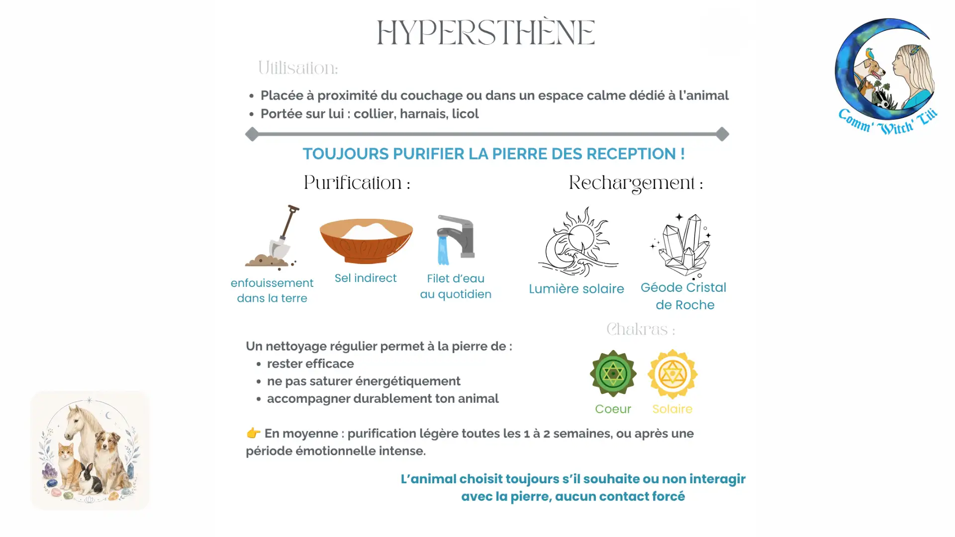 Pendentif en Hypersthène pour animaux