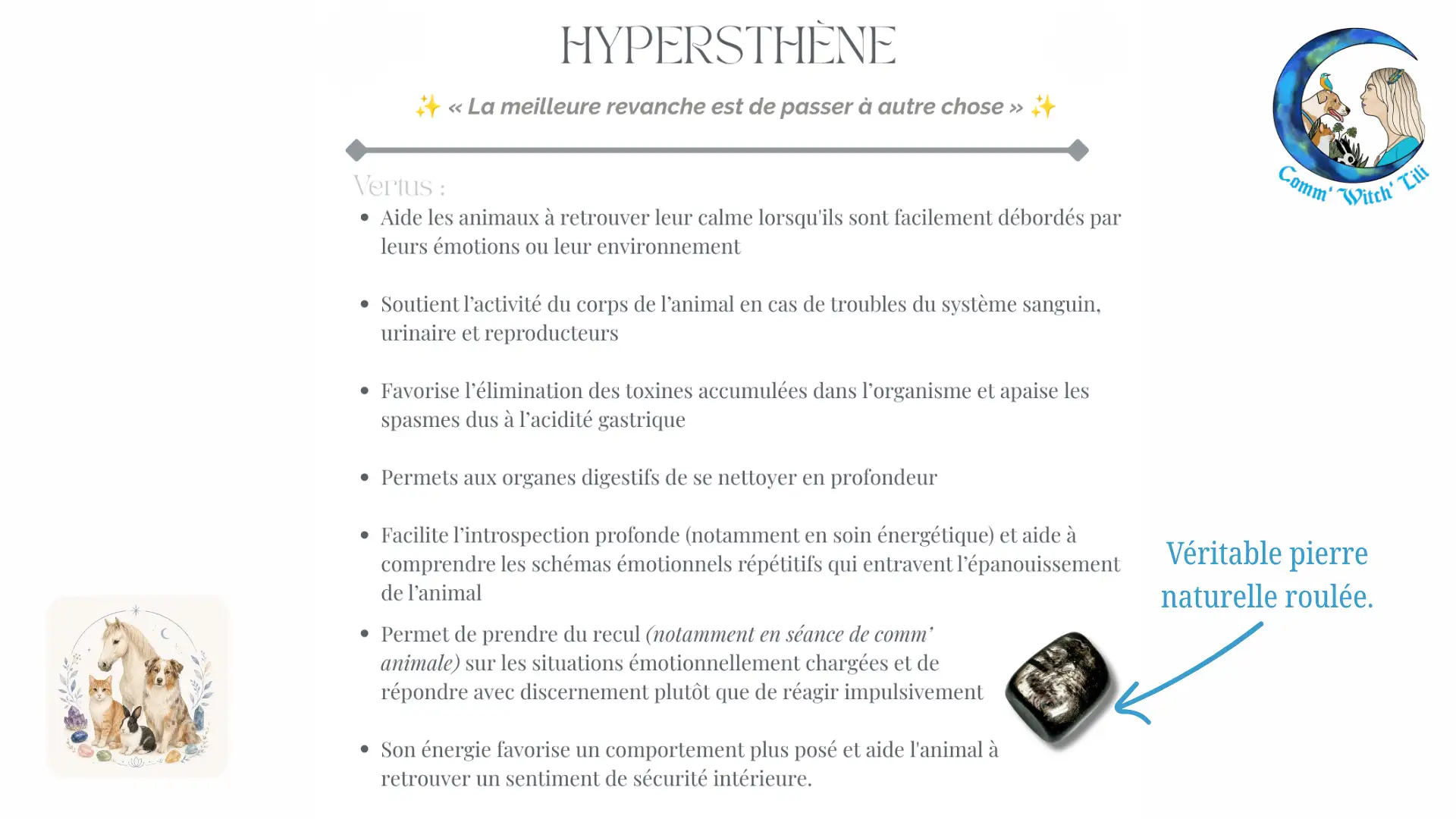 Pendentif en Hypersthène pour animaux