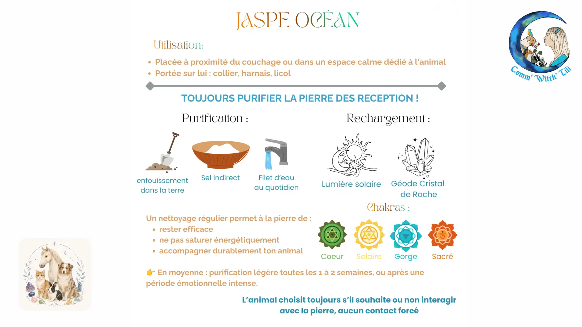 Pendentif en Jaspe Océan pour animaux