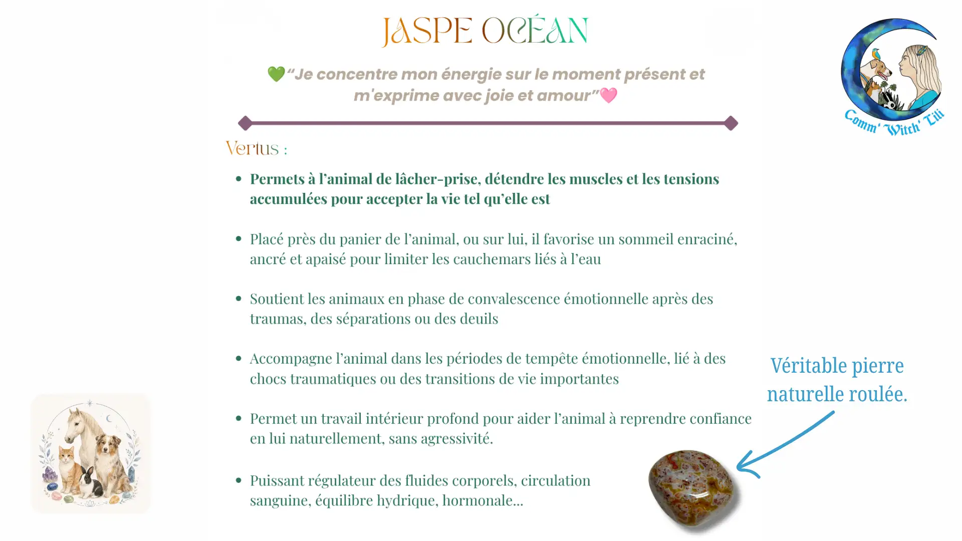 Pendentif en Jaspe Océan pour animaux