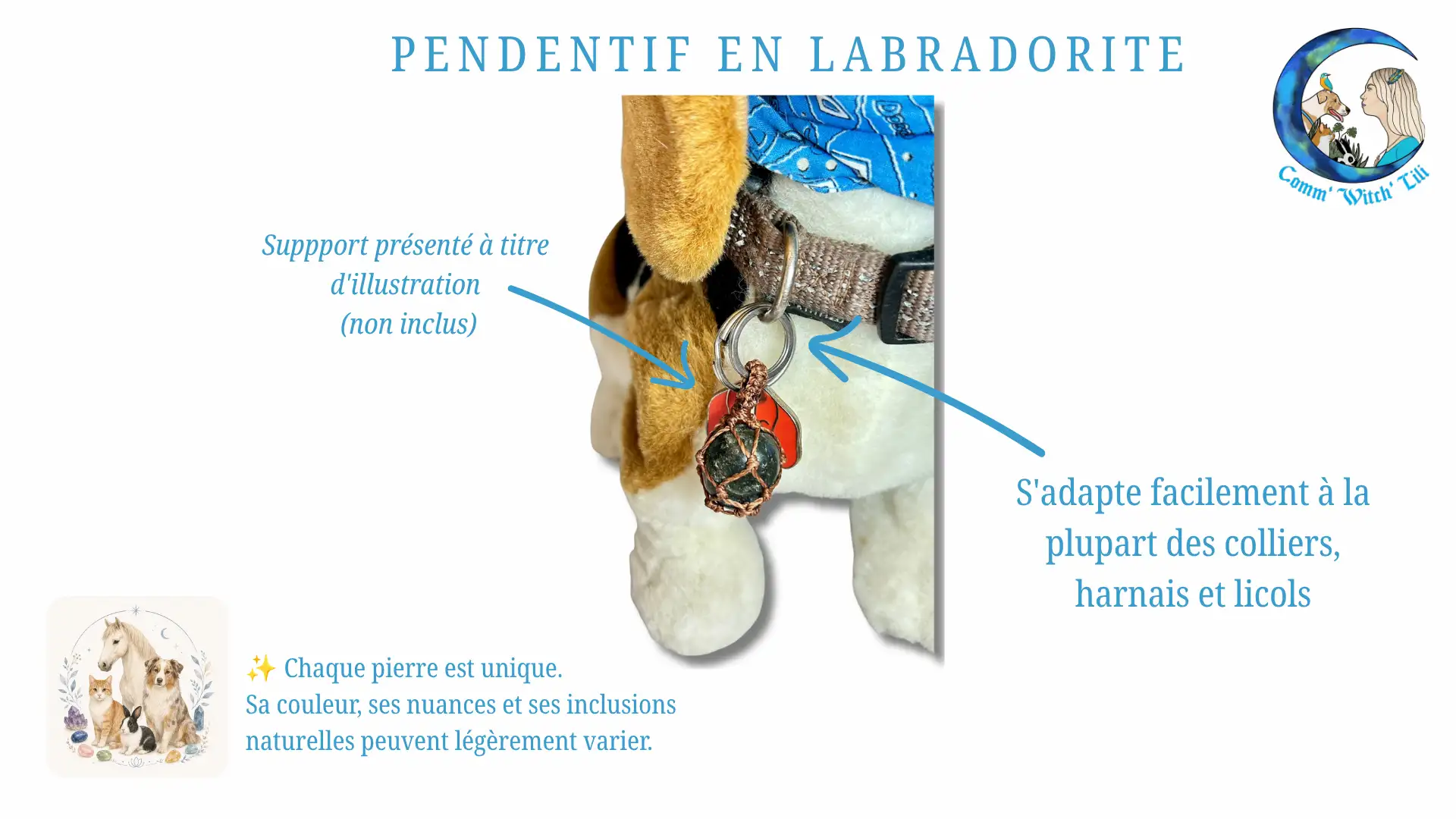 Pendentif en Labradorite pour animaux