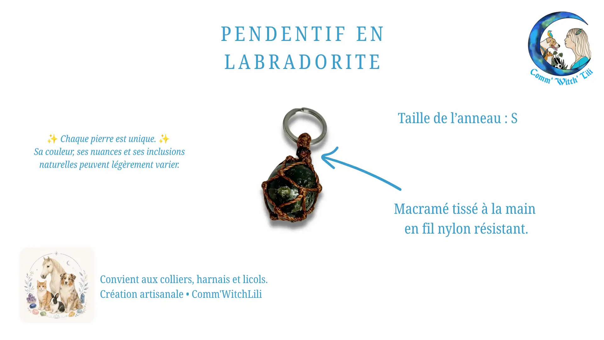 Pendentif en Labradorite pour animaux