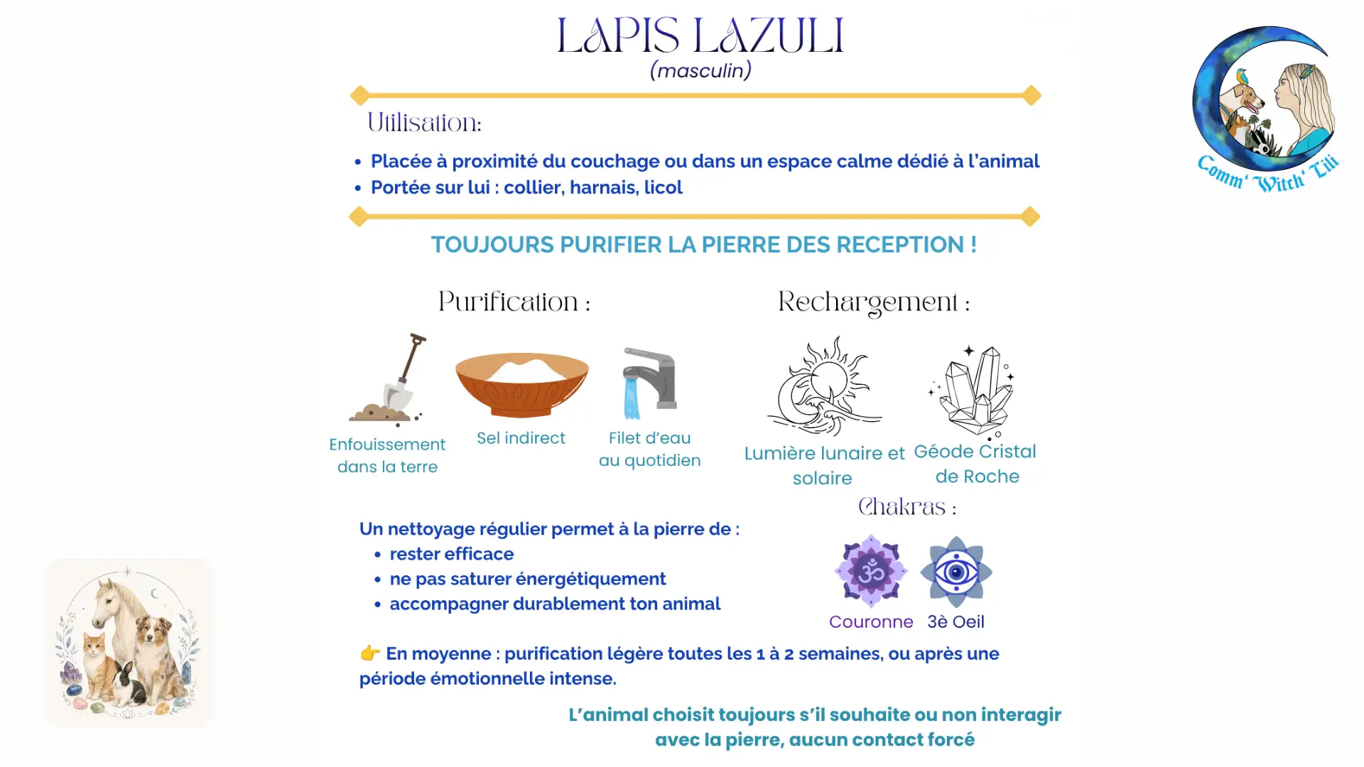 Pendentif en Lapis Lazuli pour animaux