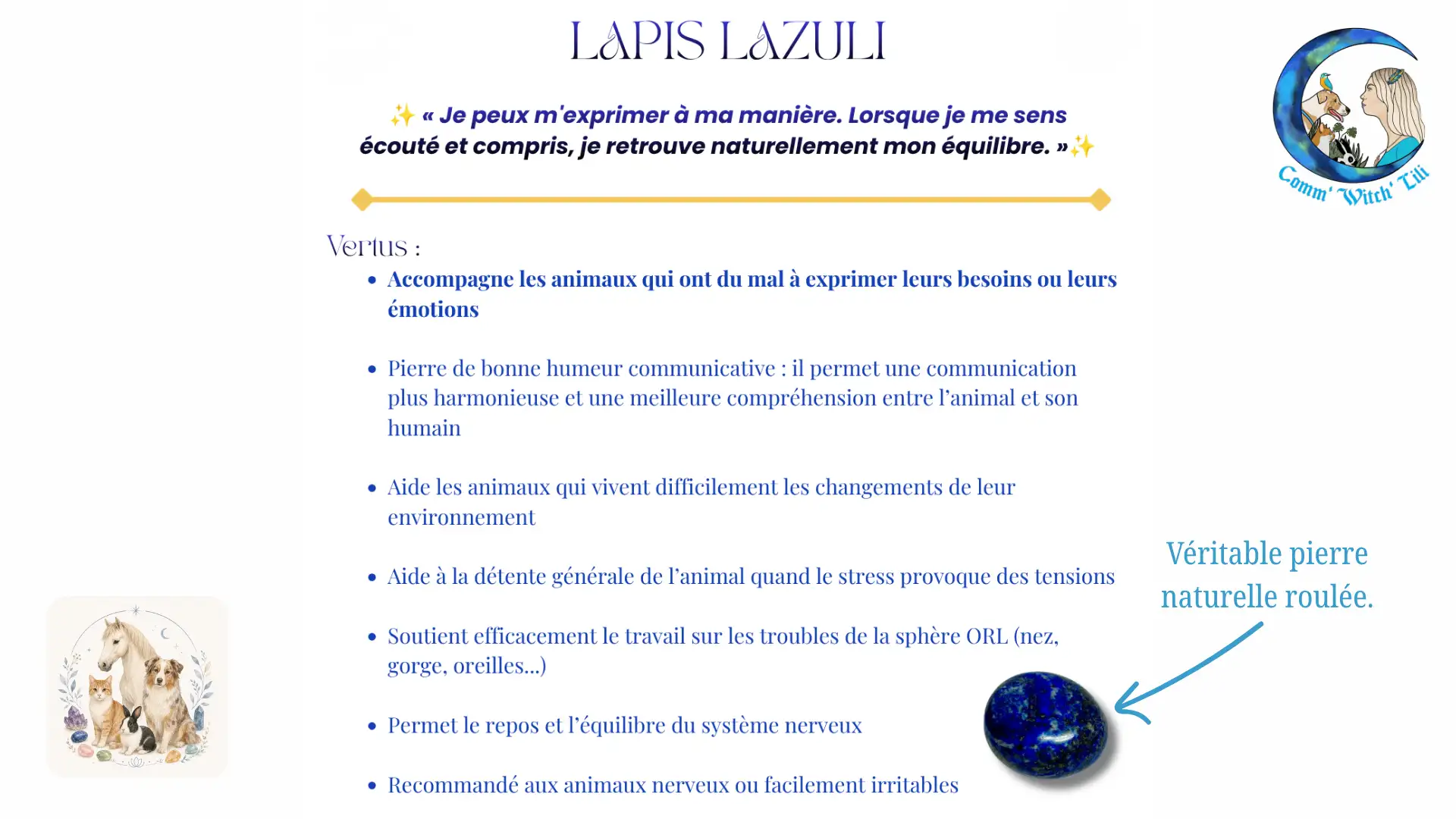 Pendentif en Lapis Lazuli pour animaux