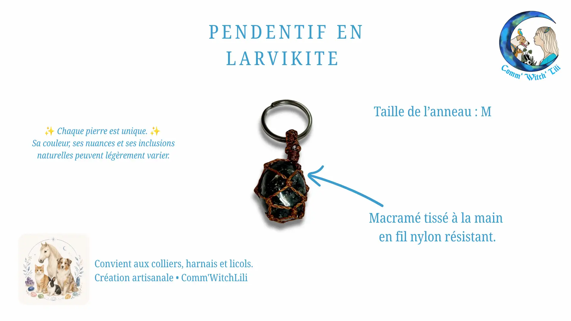 Pendentif en Larvikite pour animaux