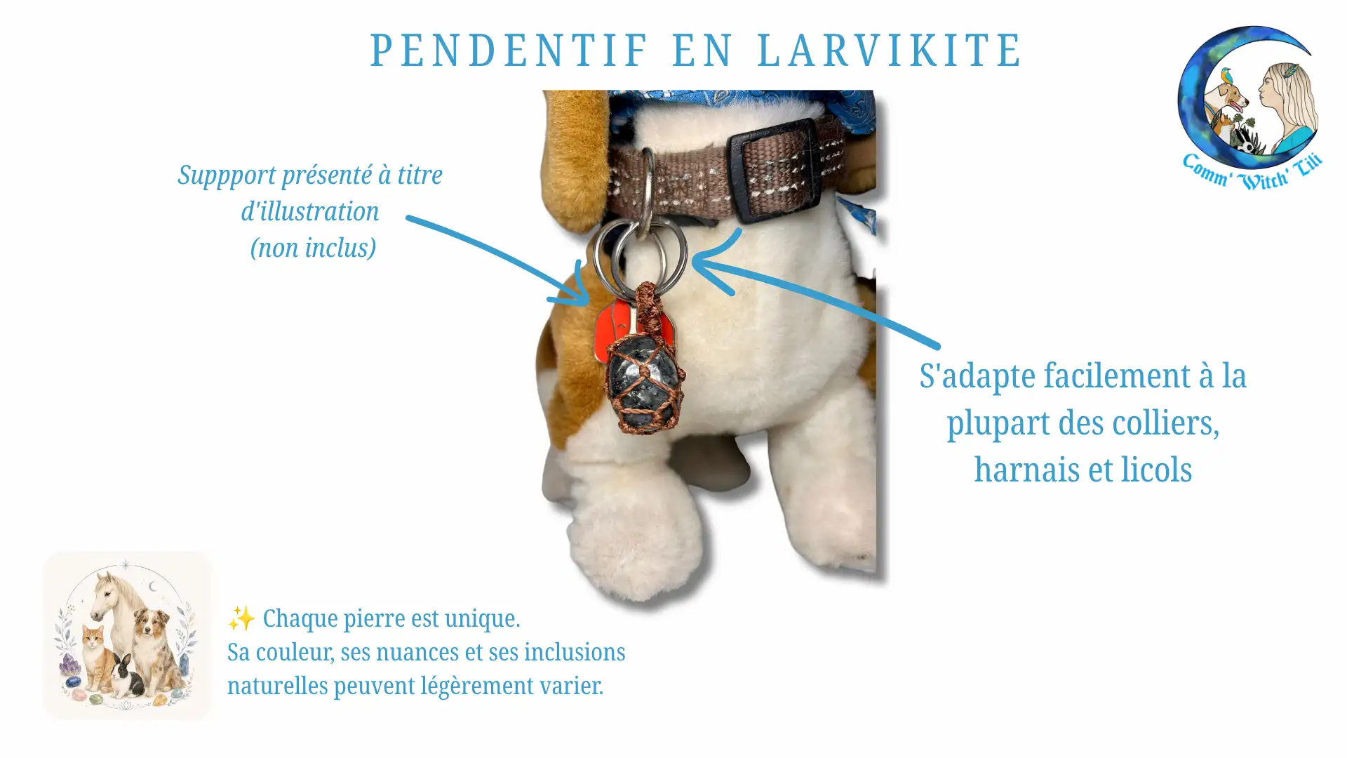 Pendentif en Larvikite pour animaux