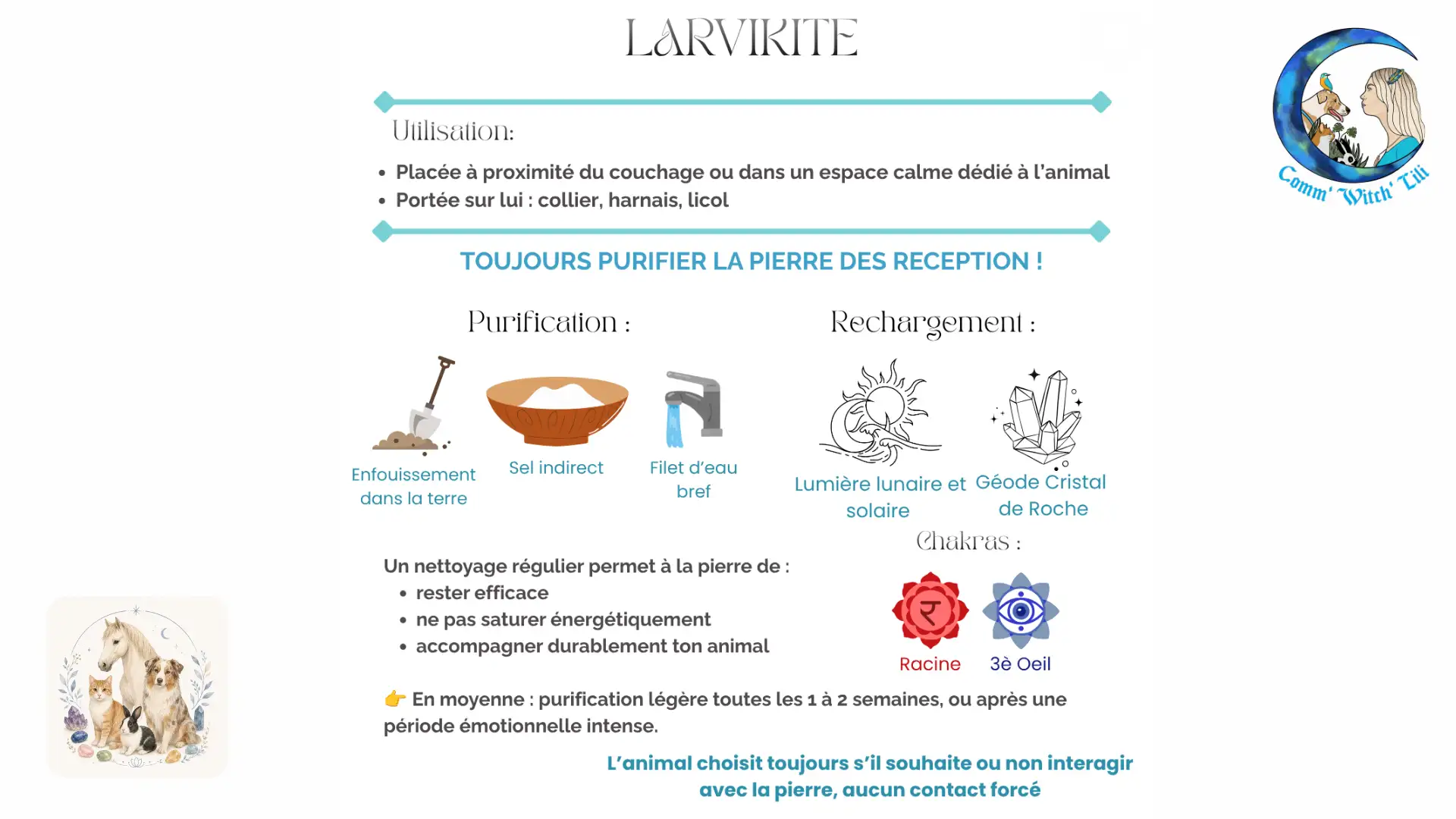 Pendentif en Larvikite pour animaux