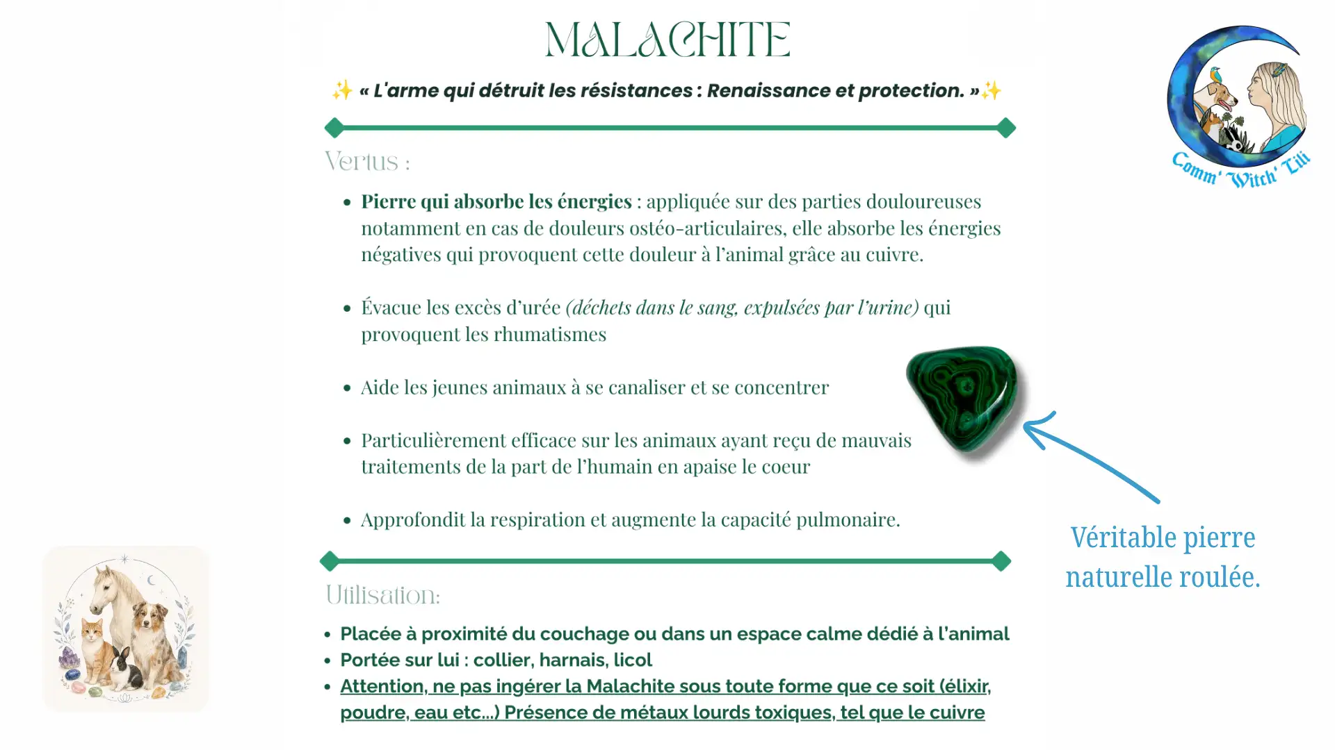 Pendentif en Malachite pour animaux