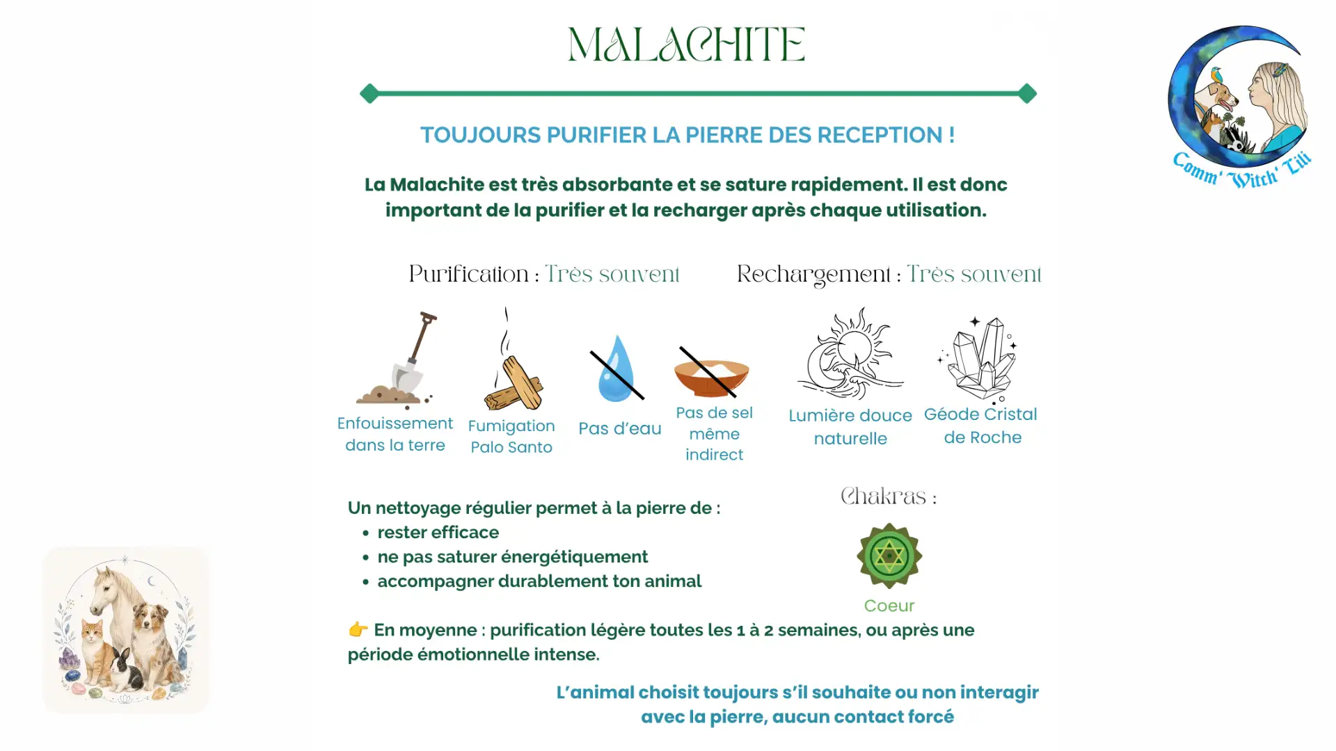 Pendentif en Malachite pour animaux