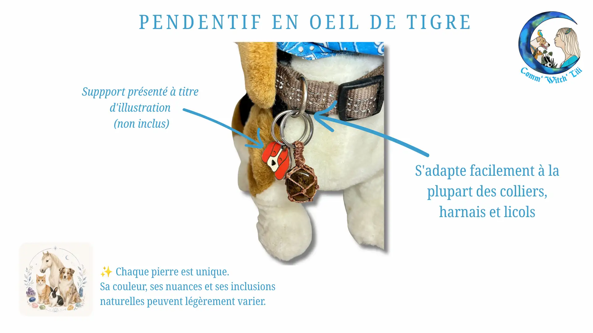 Pendentif en Oeil de Tigre pour animaux