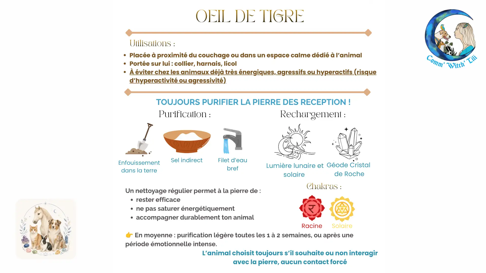 Pendentif en Oeil de Tigre pour animaux