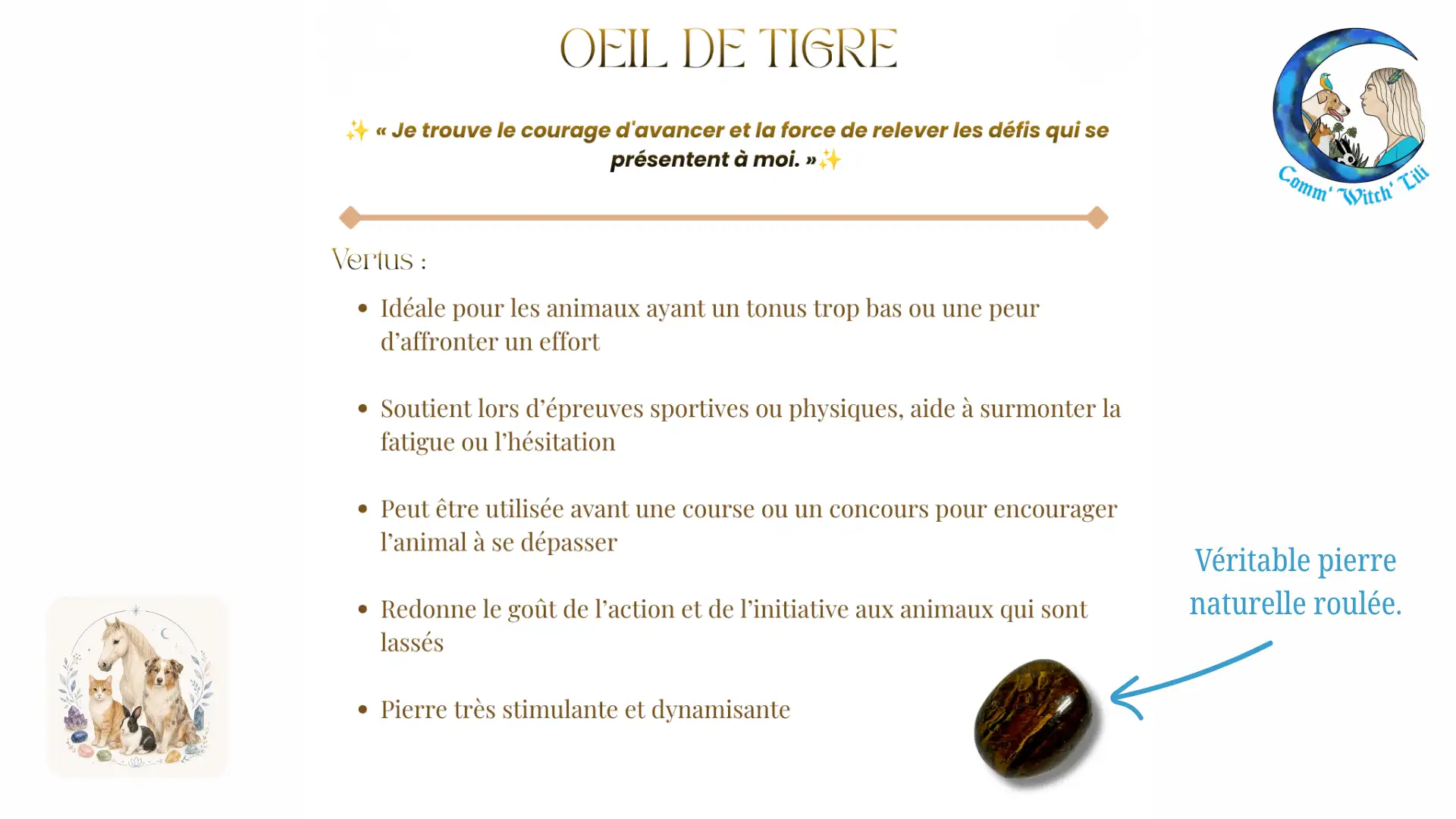 Pendentif en Oeil de Tigre pour animaux