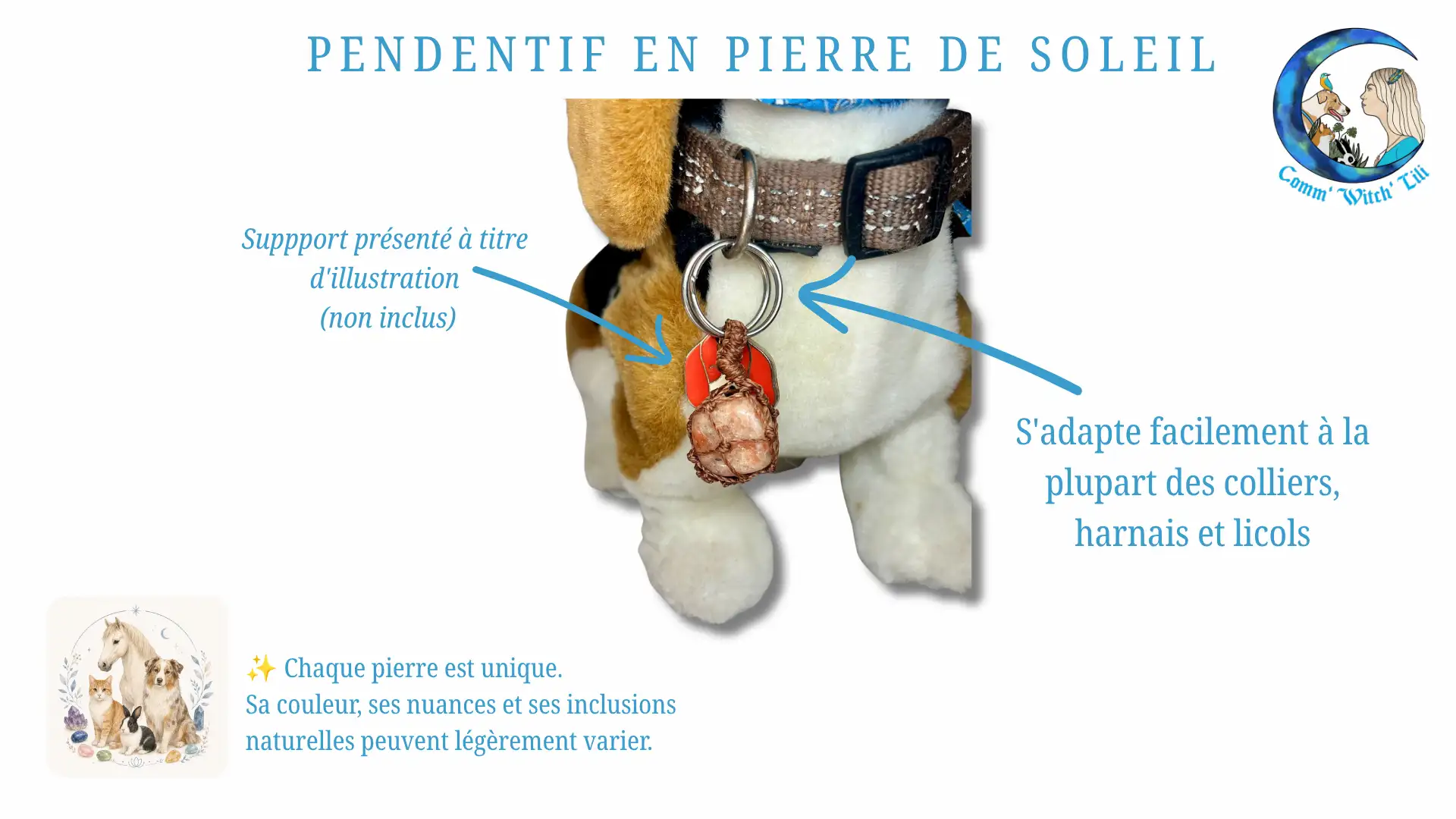 Pendentif en Pierre de Soleil pour animaux