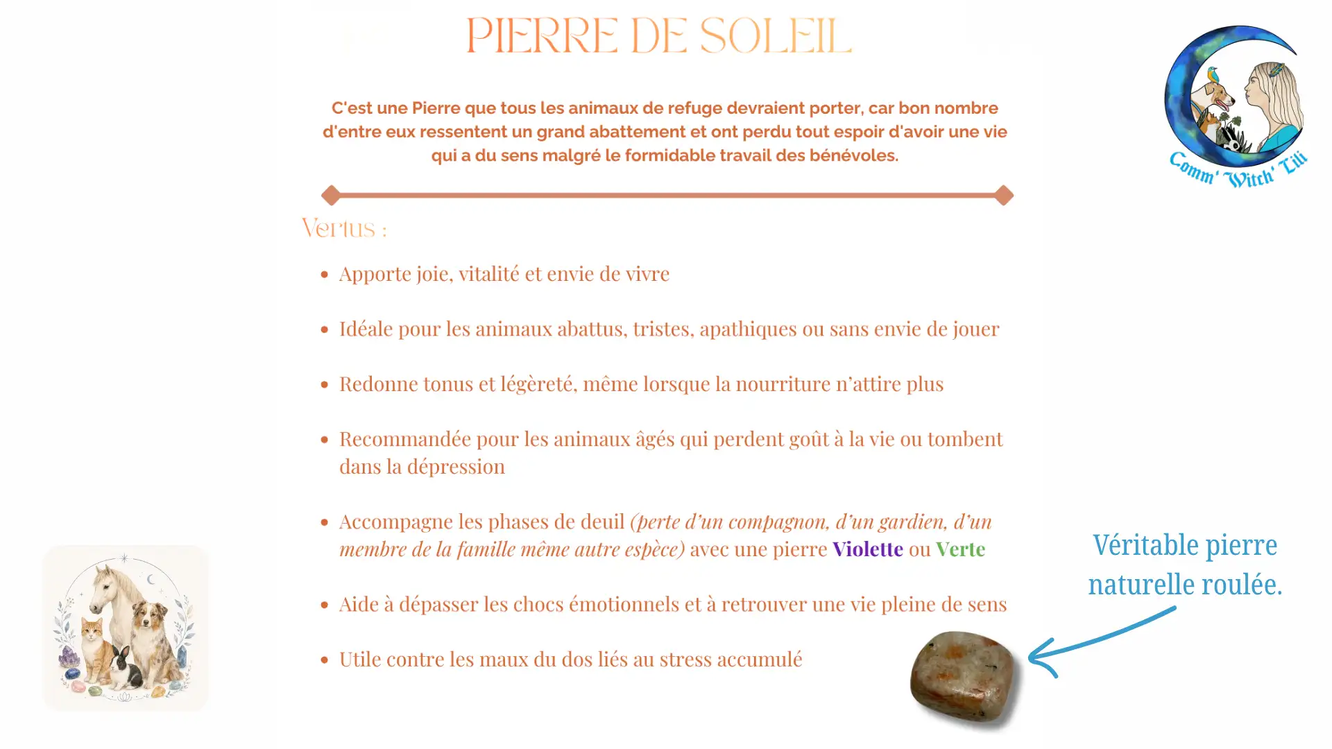Pendentif en Pierre de Soleil pour animaux