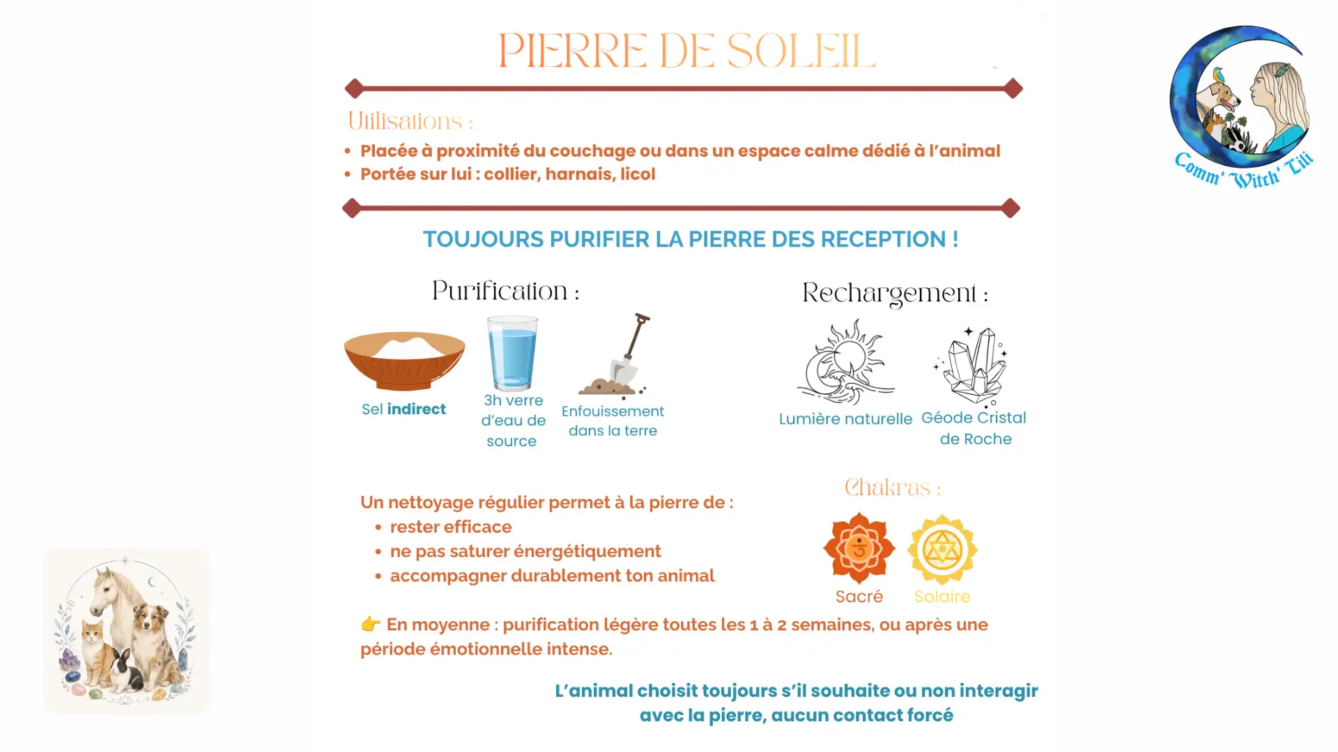 Pendentif en Pierre de Soleil pour animaux