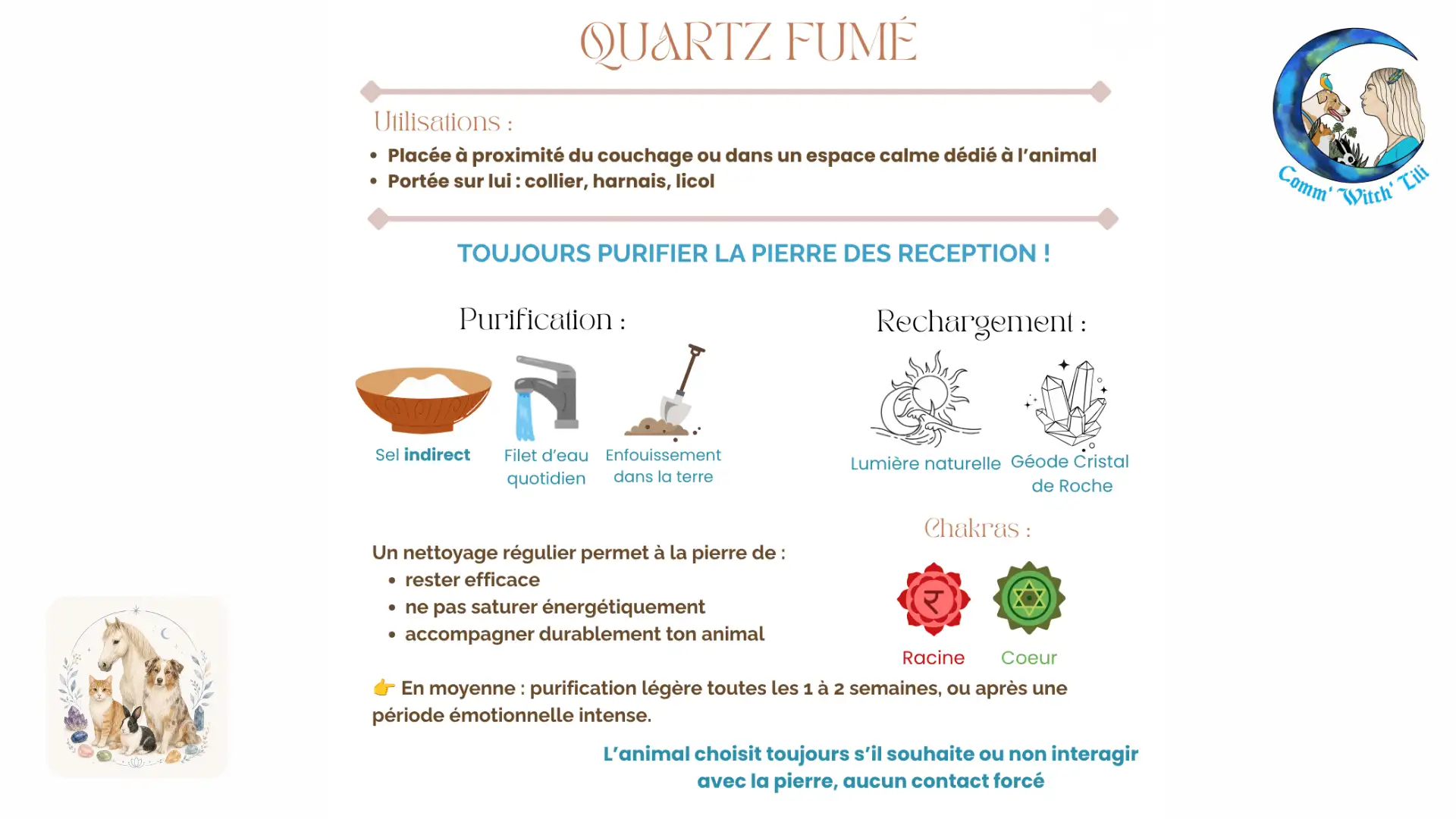 Pendentif en Quartz fumé pour animaux