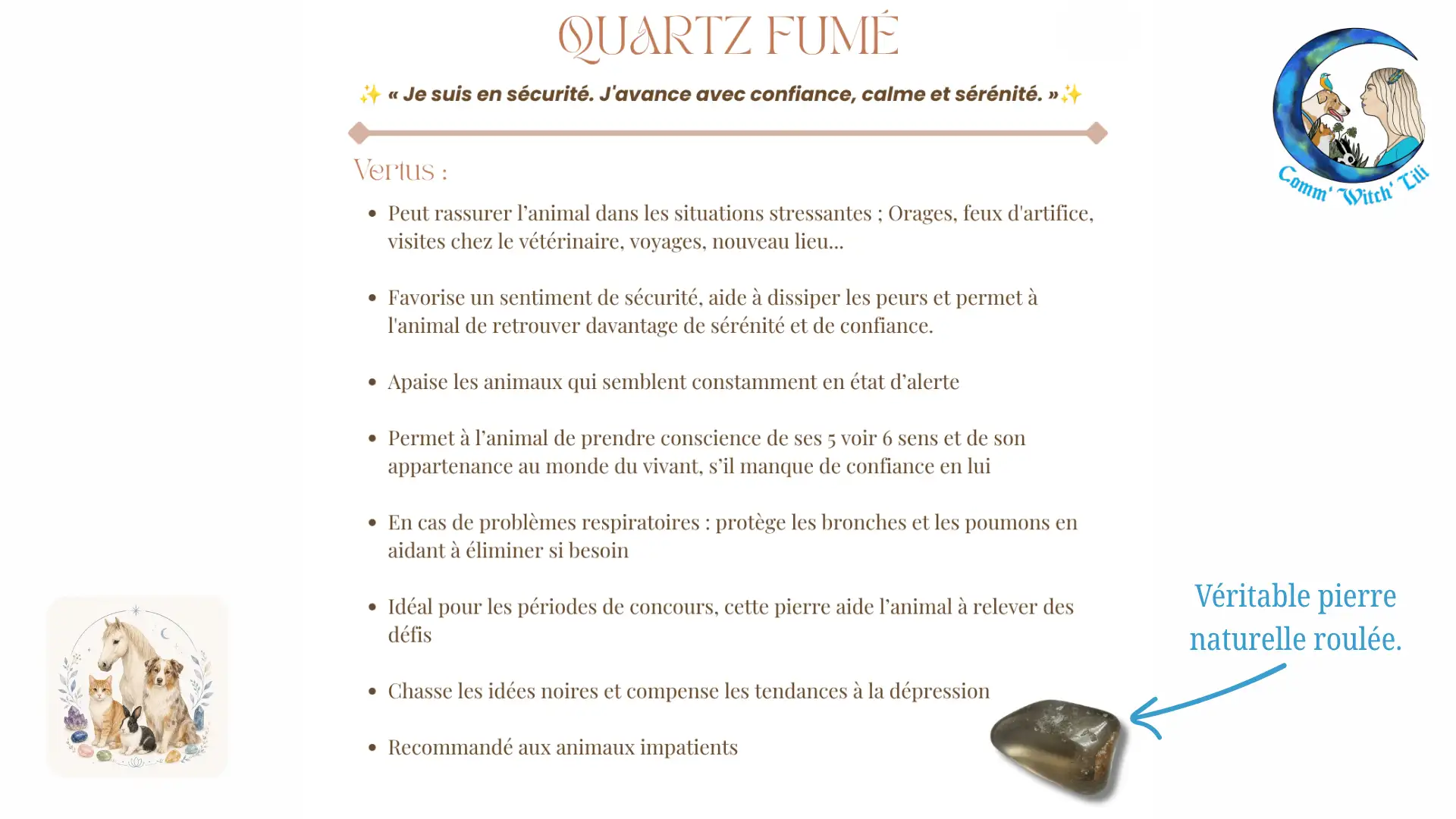 Pendentif en Quartz fumé pour animaux