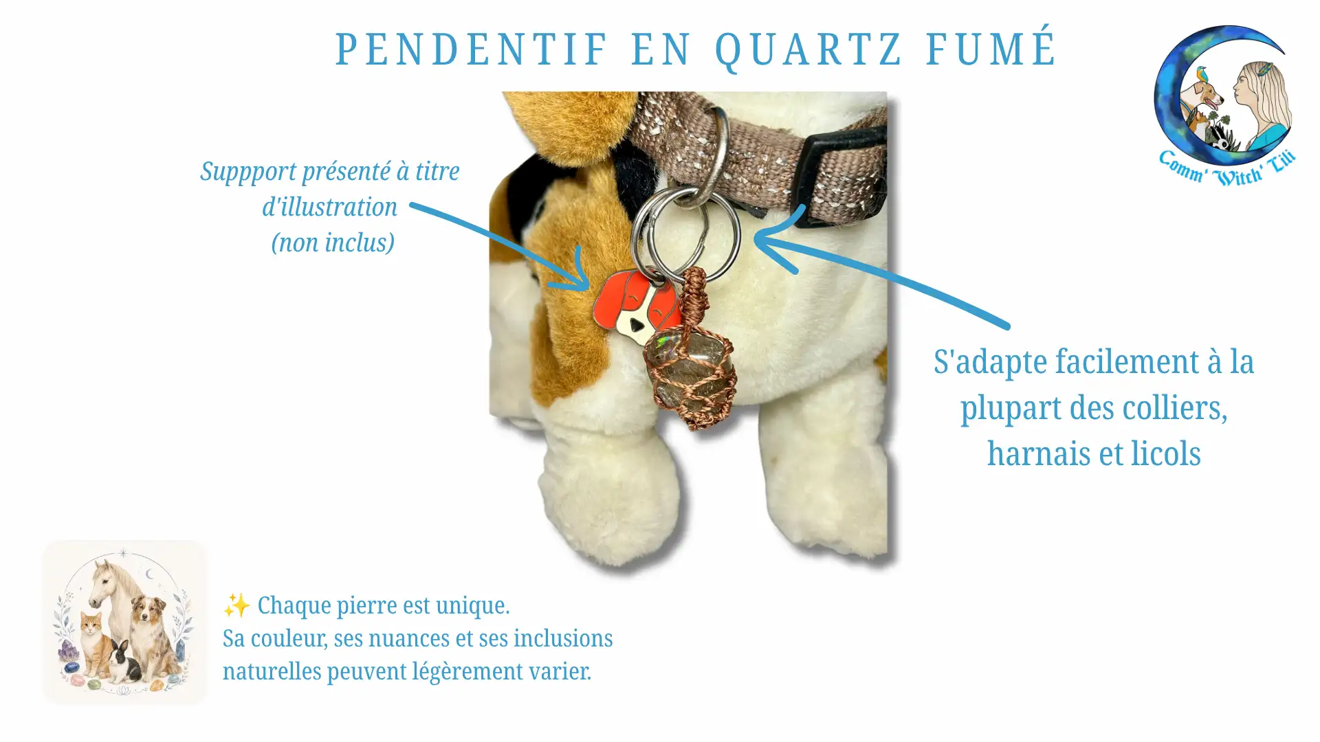 Pendentif en Quartz fumé pour animaux