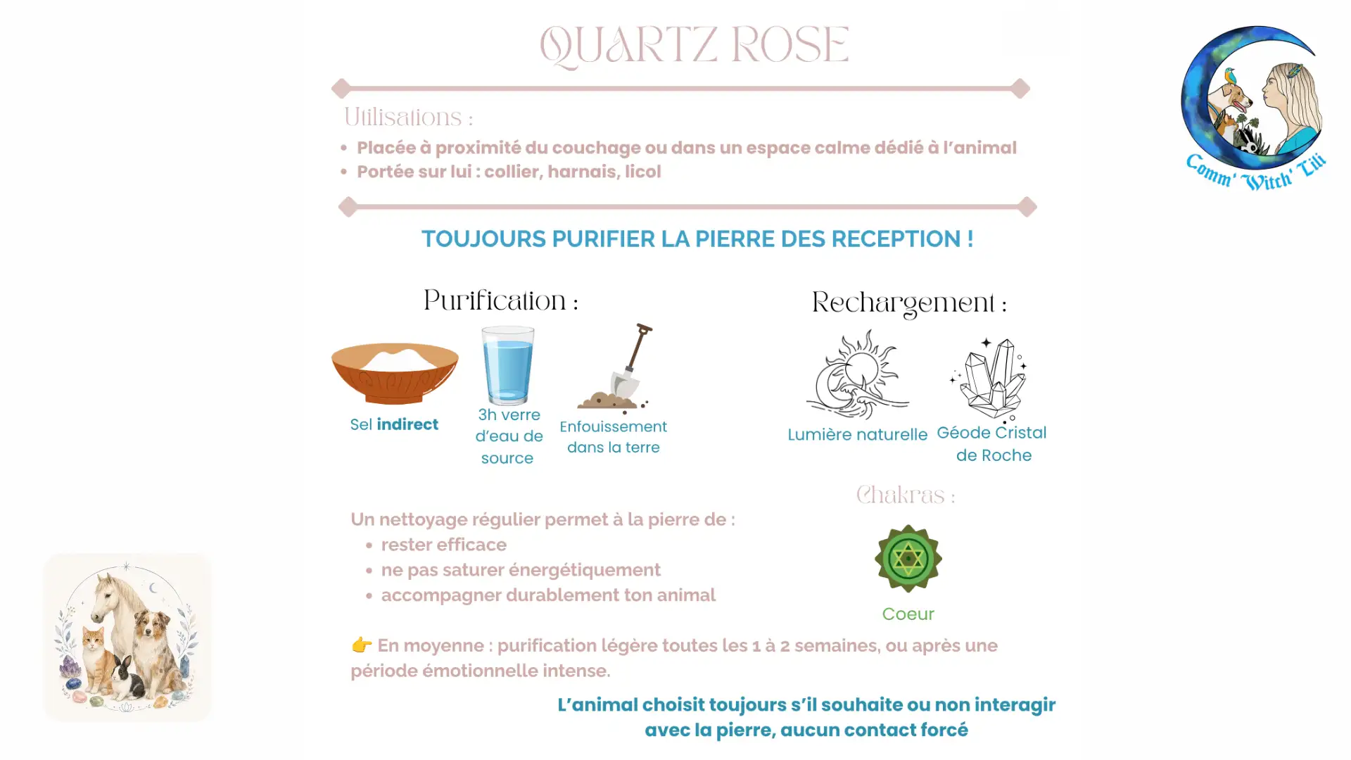 Pendentif en Quartz rose pour animaux
